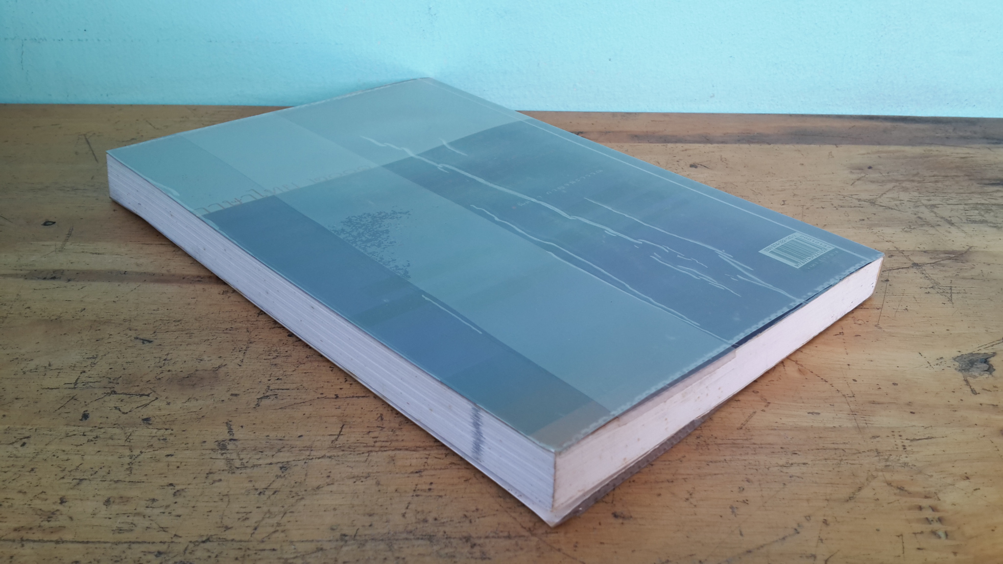 ภาษาไทย ๒๐๐๑ / นิตยา กาญจนะวรรณ