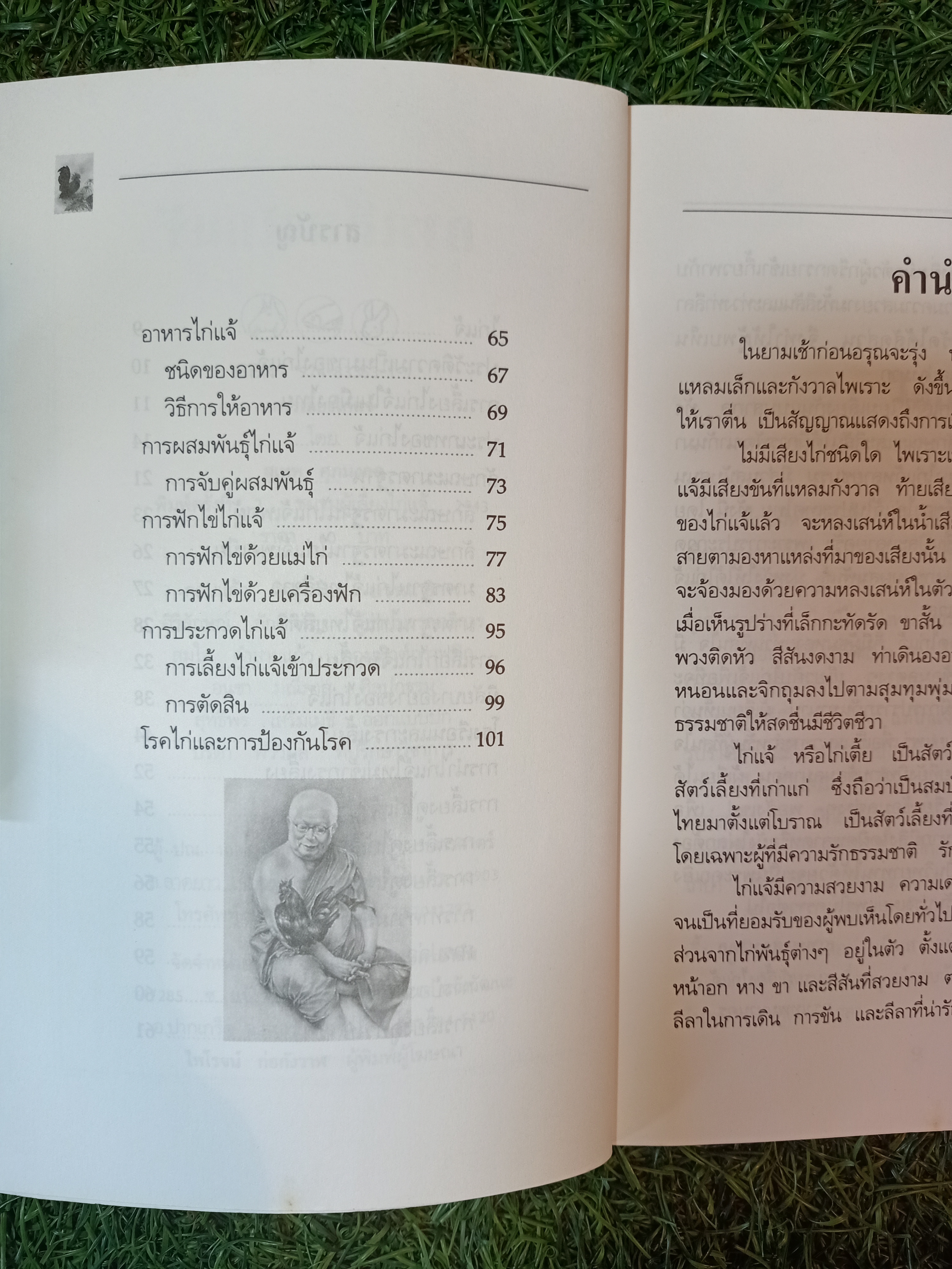 การเลี้ยงไก่แจ้ / สุเทพ ศุภมงคล