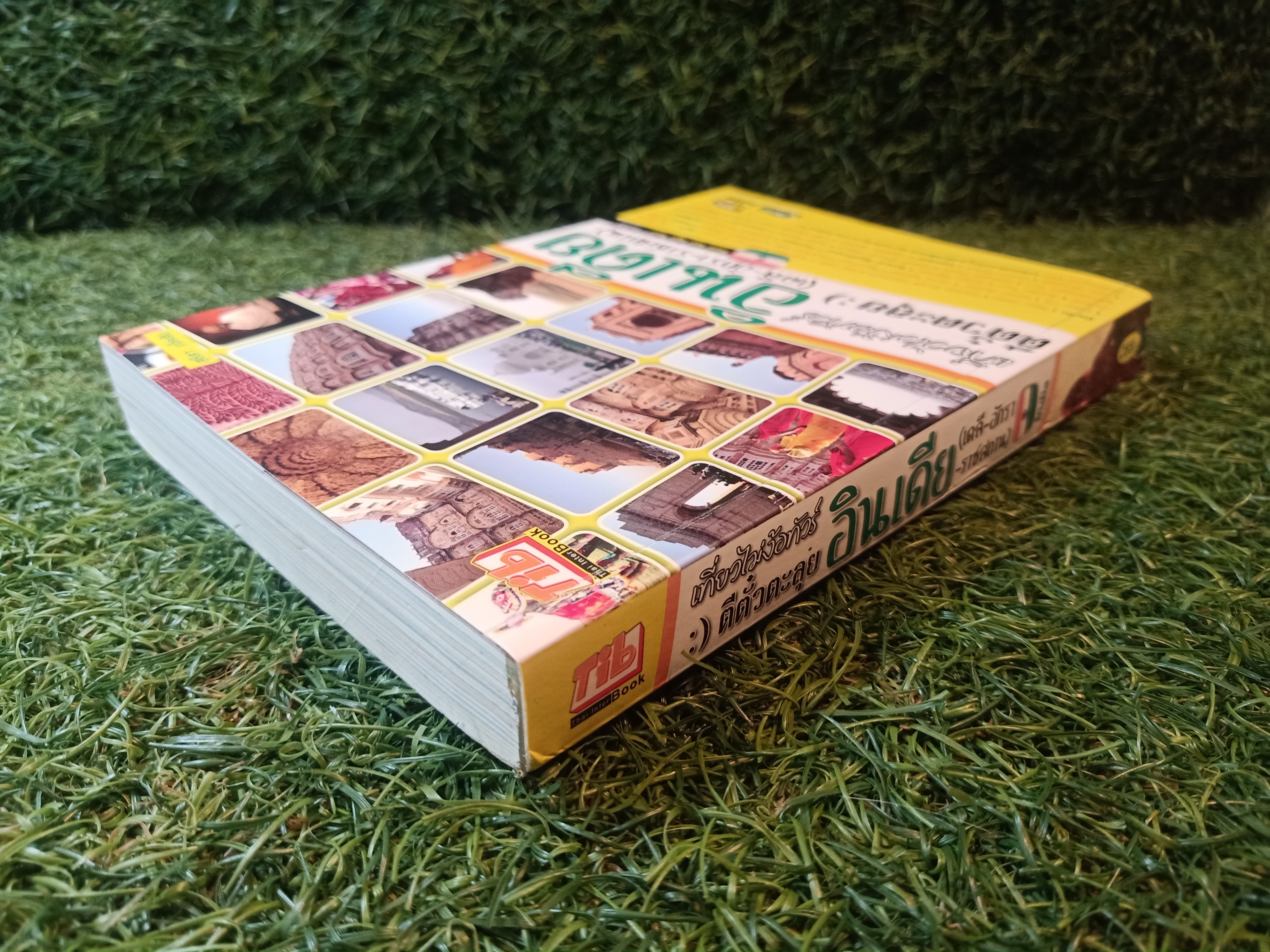 เที่ยวไม่ง้อ ทัวร์ ตีตั้๋วตะลุย อินเดีย (เดลี - อักรา - ราชสถาน) / Thai inter BOOK