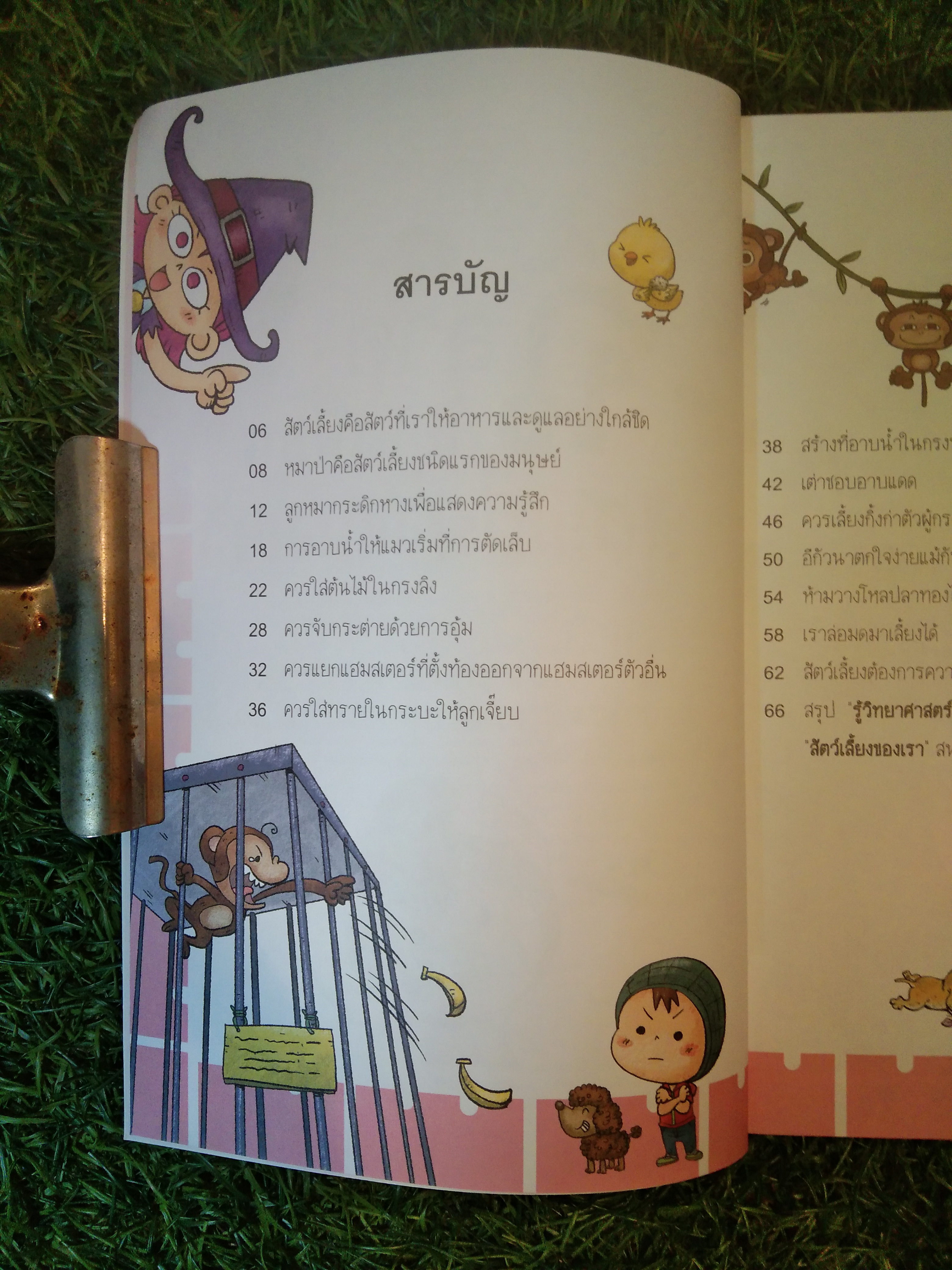 รู้วิทยาศาสตร์ ฉลาดก่อนเพื่อน ตอน สัตว์เลี้ยงของเรา / สี่มิติ