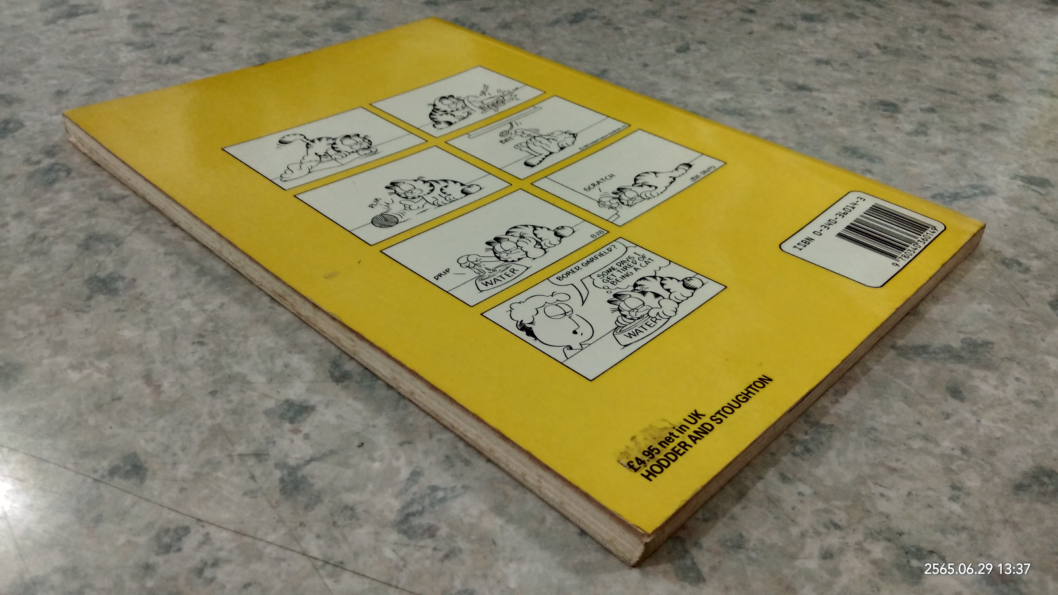 the Garfield Gallery 2 / JiM DAViS