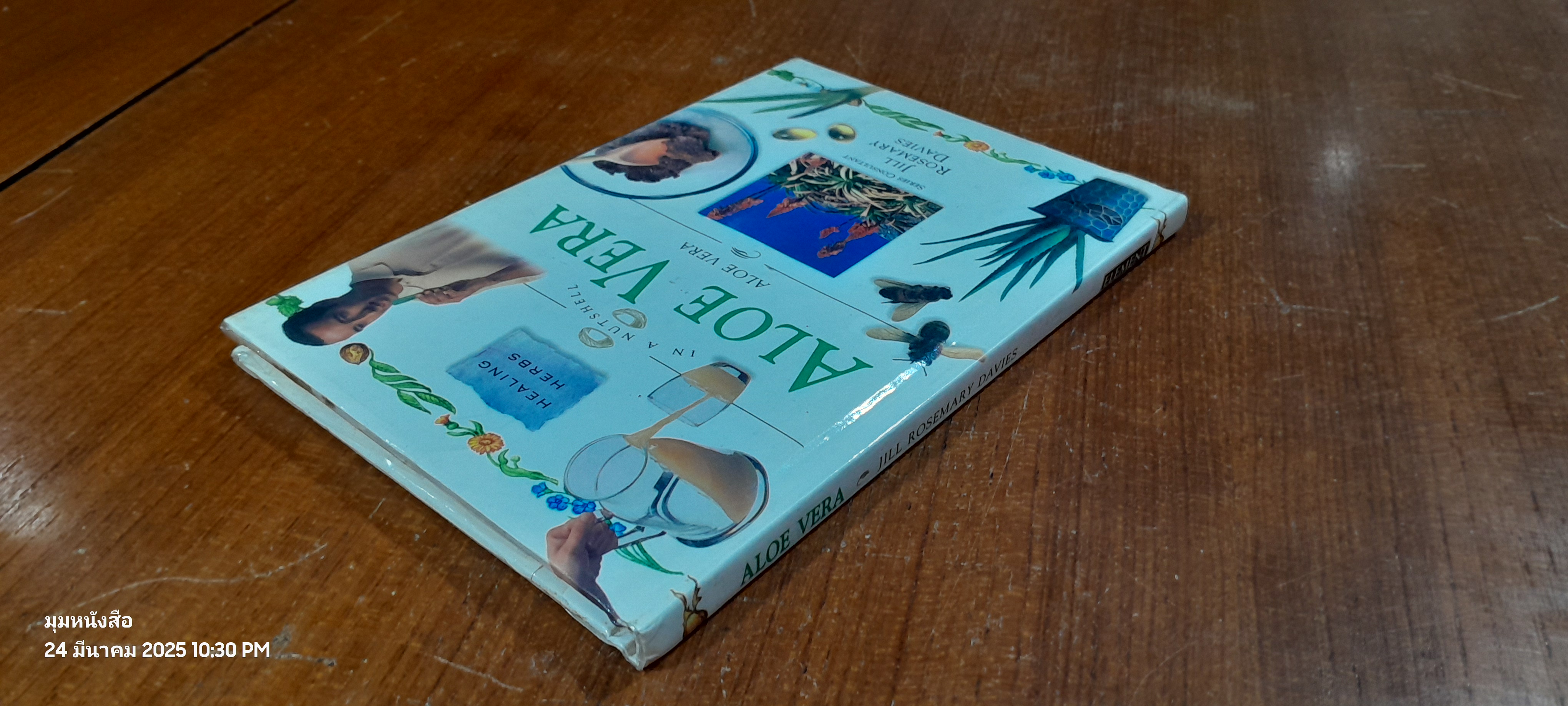 ALOE VERA : JILL ROSEMARY DAVIES