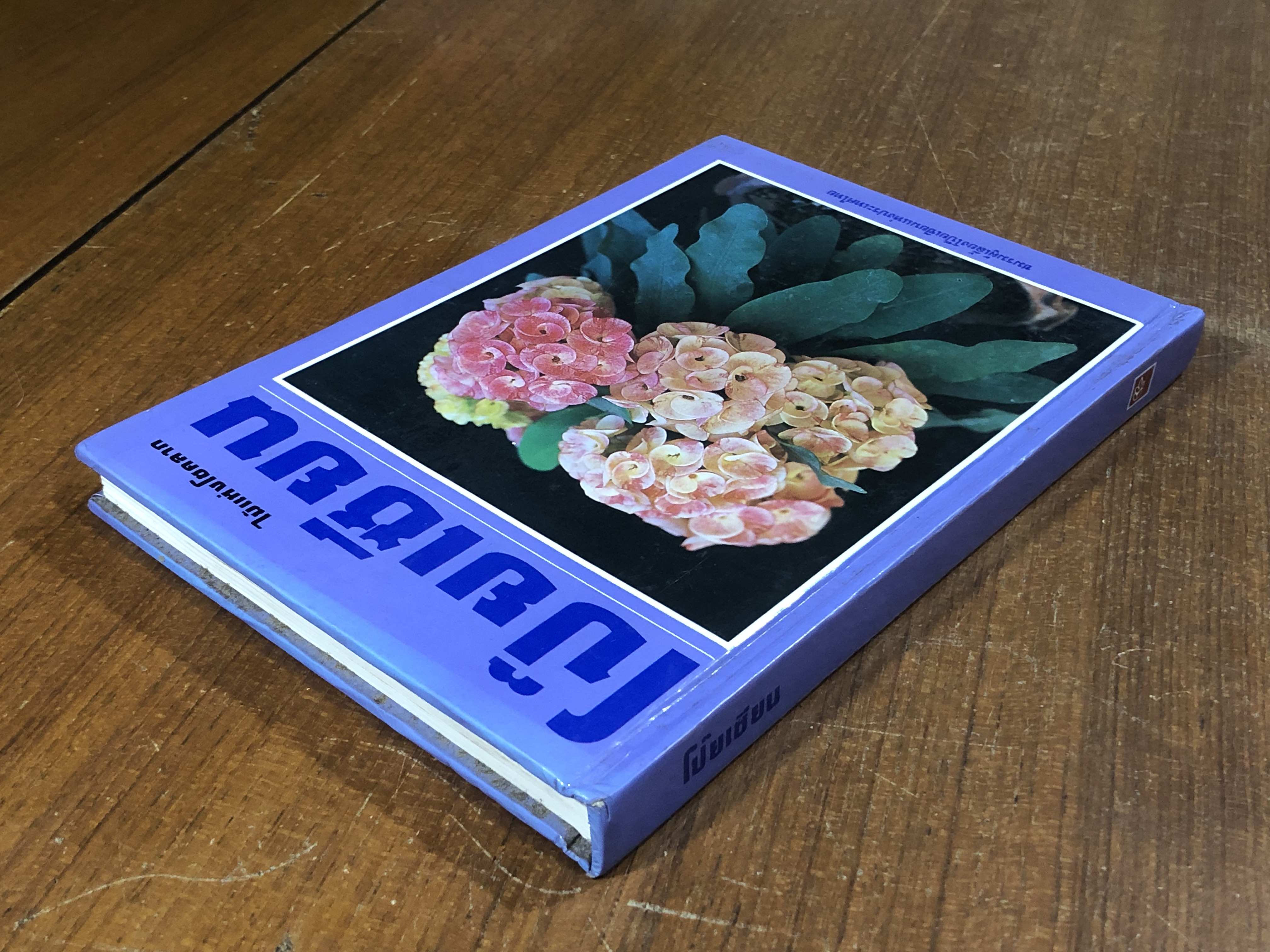 โป๊ยเซียน ไม้ดอกเสี่ยงทาย ไม้แห่งโชคลาภ / ไพโรจน์ จักรวาลชัย