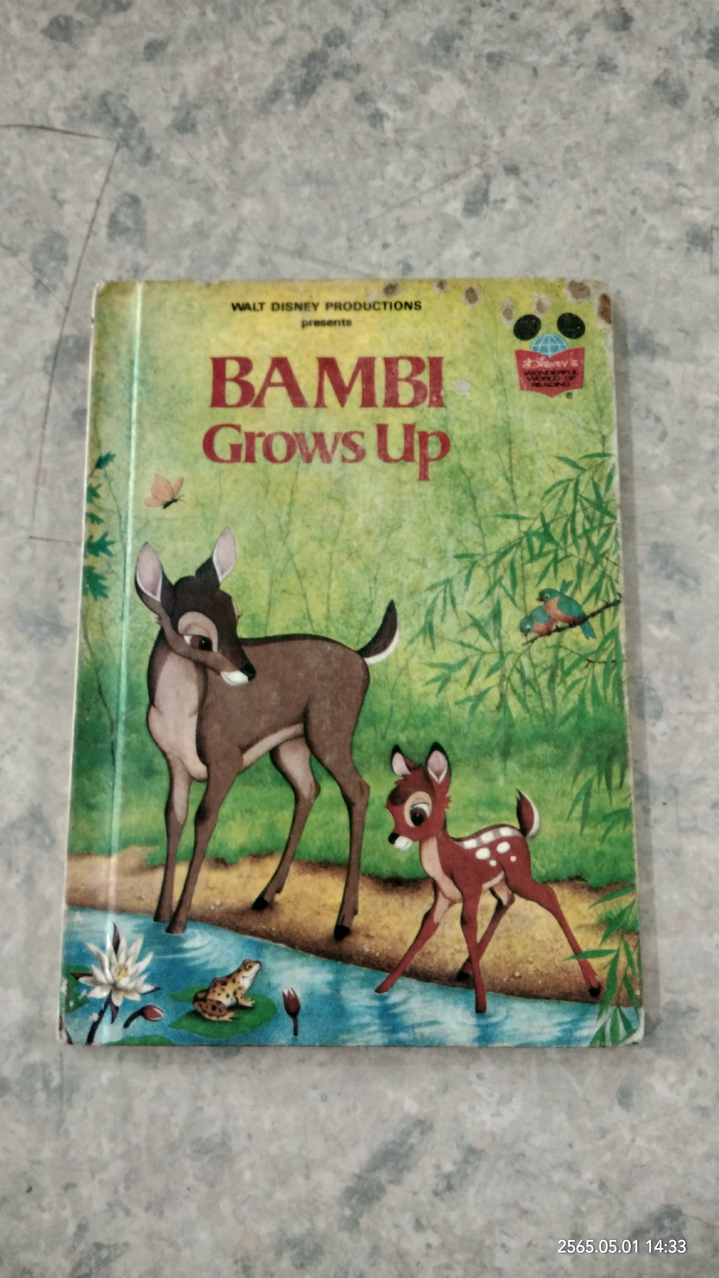 WALT DISNEY PRODUCTIONS : BAMBI Grows up