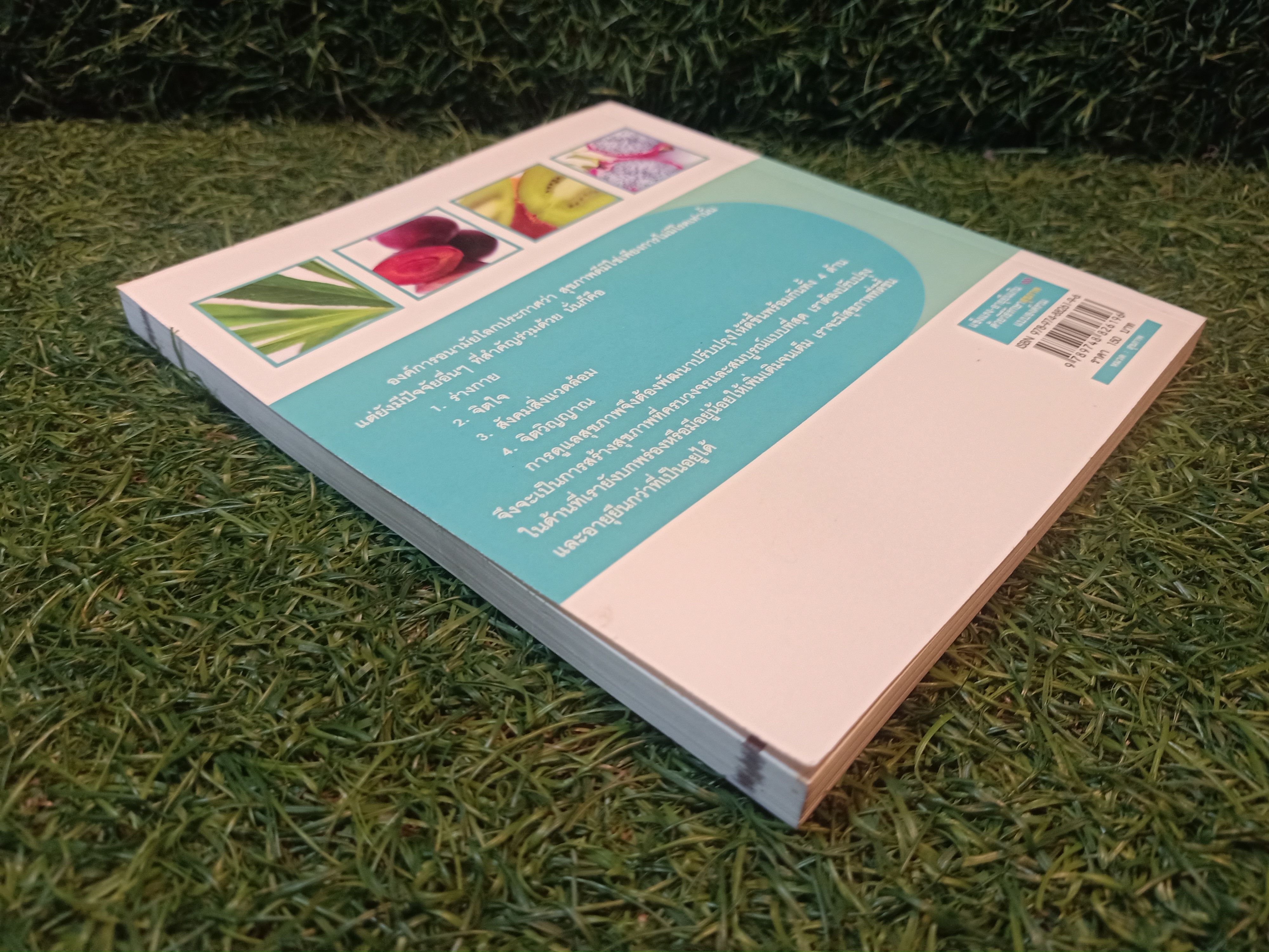 แข็งแรง-อายุเกิน100 ด้วยวิธีรักษาสุขภาพ แบบองค์รวม / มานพ ประภาษานนท์