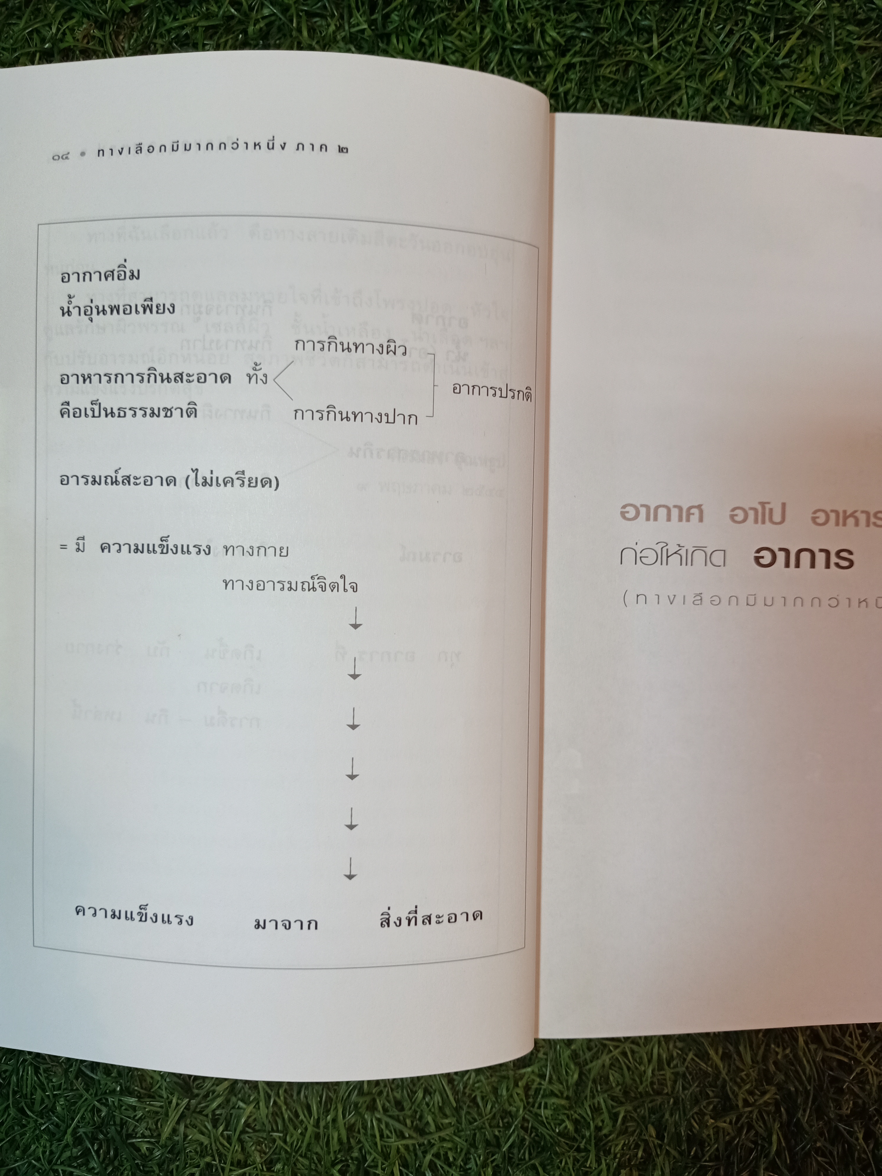 อากาศ อาโป อาหาร อารมณ์ ก่อให้เกิดอาการ ทางเลือกมีมากกว่าหนึ่ง (ภาค๒) / ศิเรมอร อุณหธูป