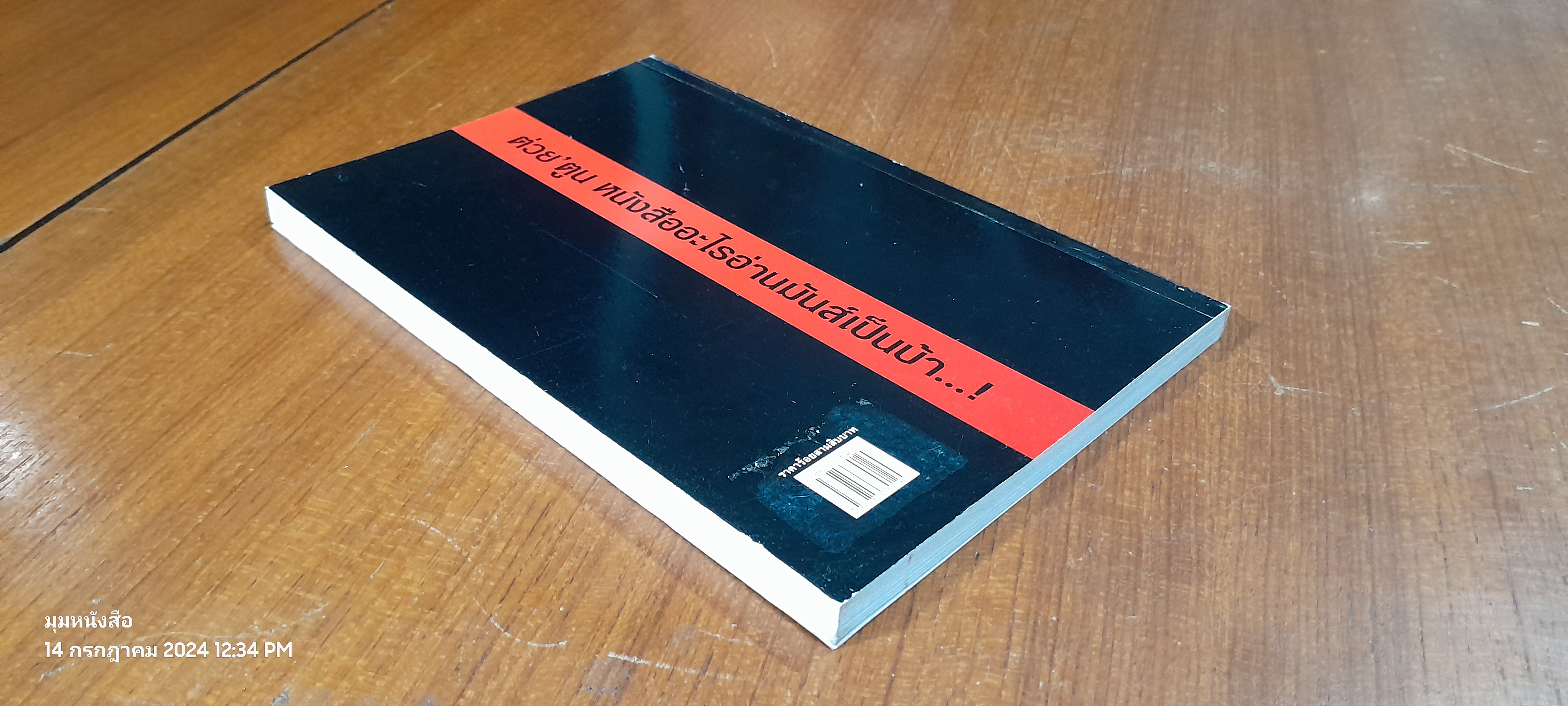 ตำรวจ พเนจร / ปกรณื ปิ่นเฉลียว