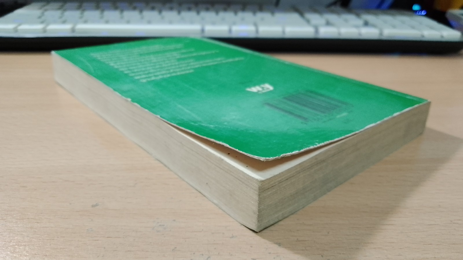 สนไซเปรส / จิรัฏฐ์ ประเสริฐทรัพย์