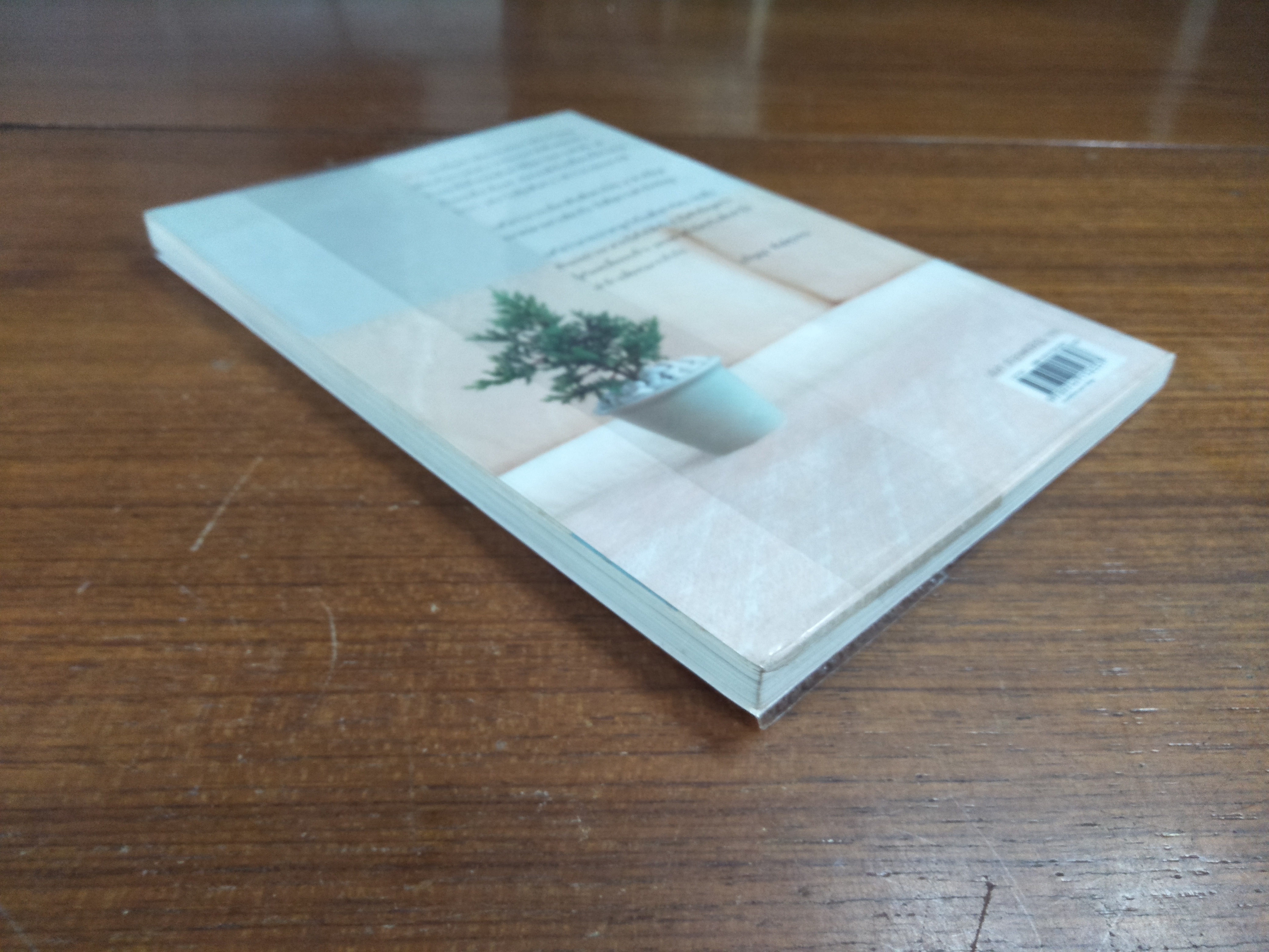 เข้า ป.1 เลือกโรงเรียน เลือกอนาคตลูก / อภิญญา พันธ์สุวรรณ