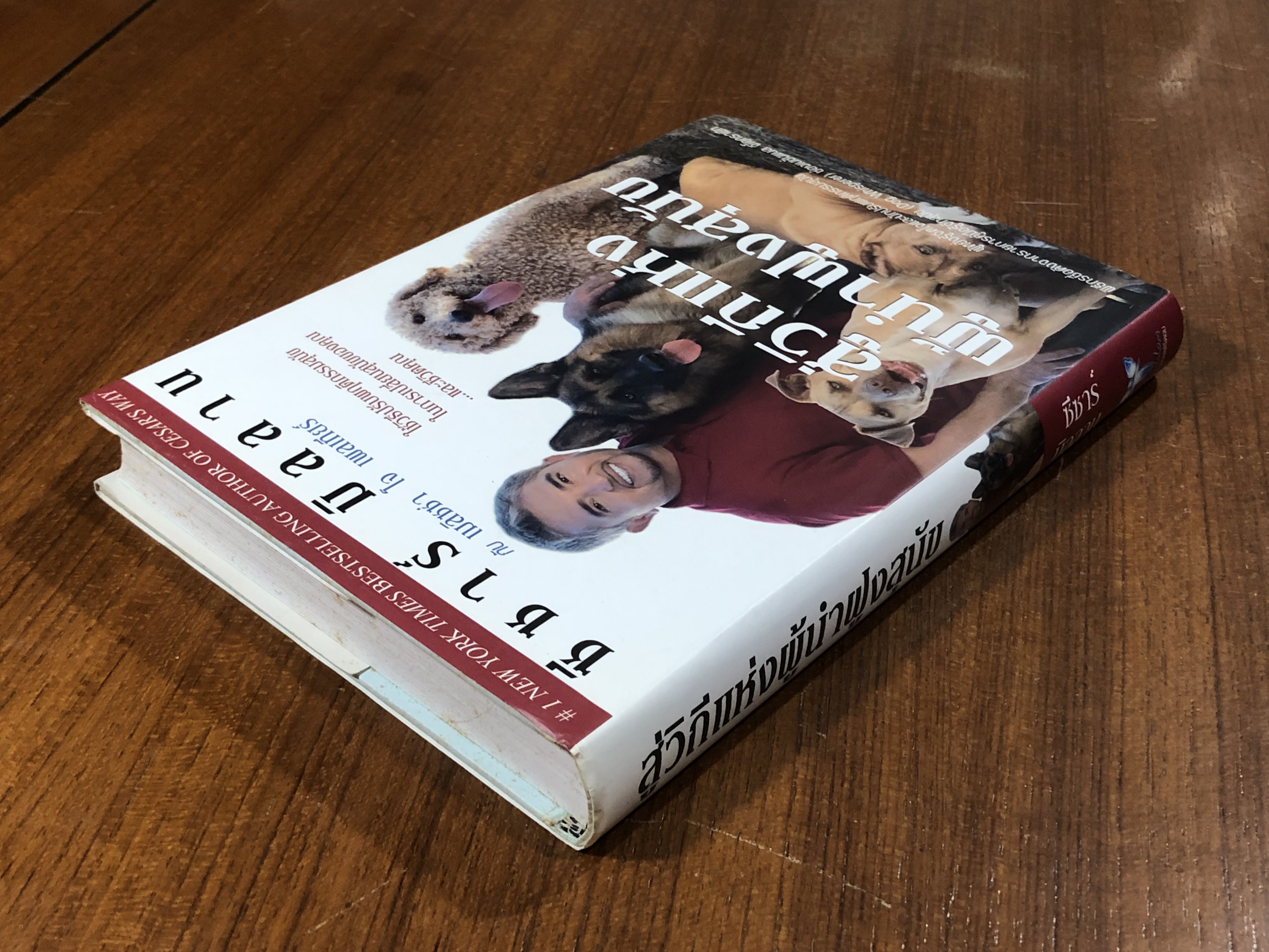 สู่วิถีแห่งผู้นำฝูงสุนัข / ซีซาร์ มิลลาน