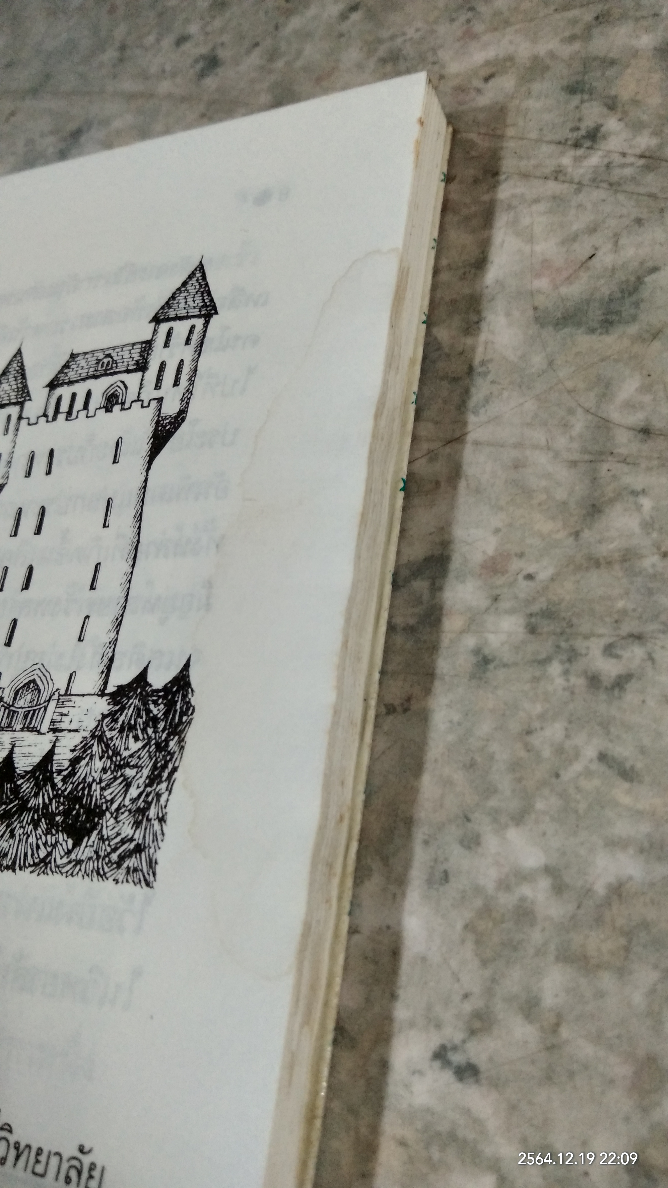 โอมเพี้ยง! แม่มดน้อยมาแล้ว(มีรอยโดนน้ำ) / ฤดูร้อน แปล