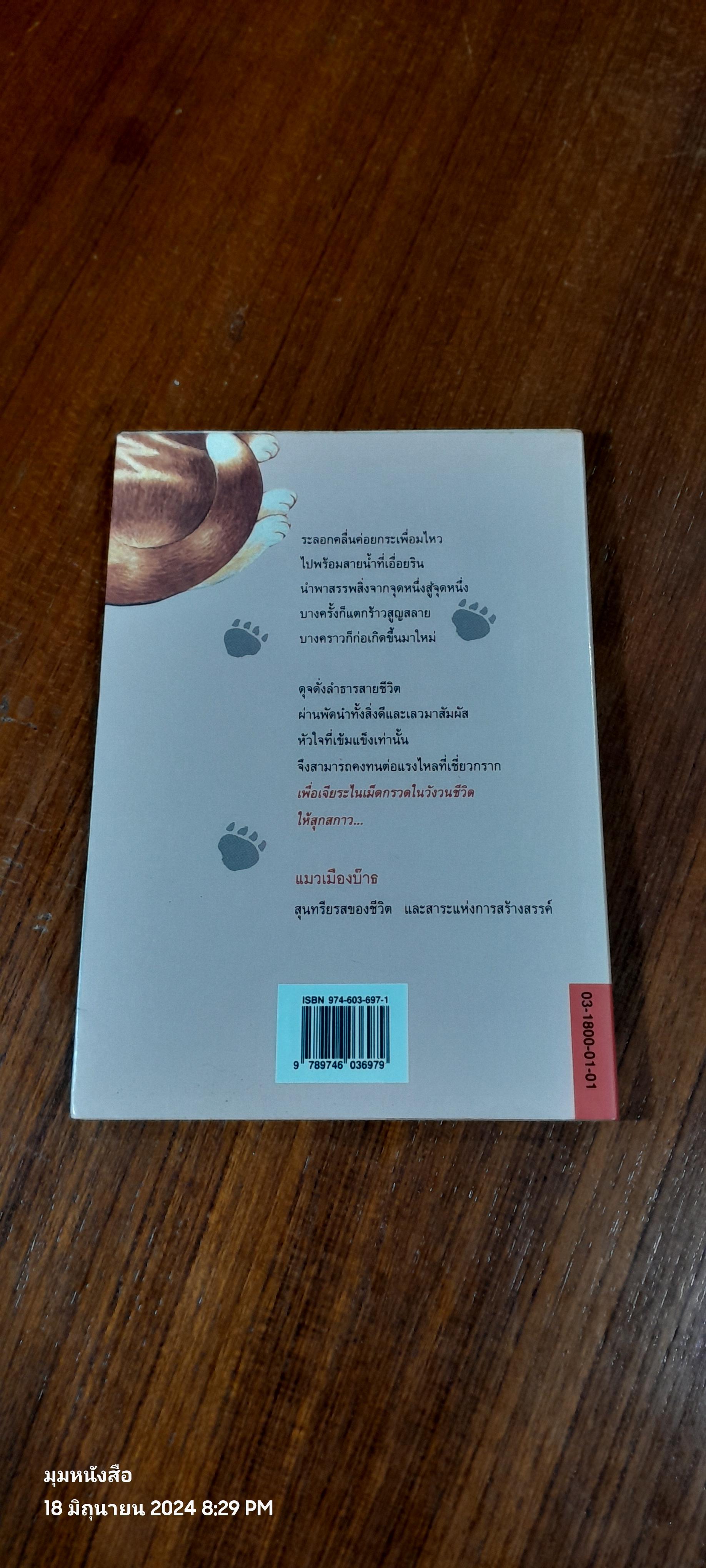 แมวเมืองบ๊าธ / สุปาจรีย์