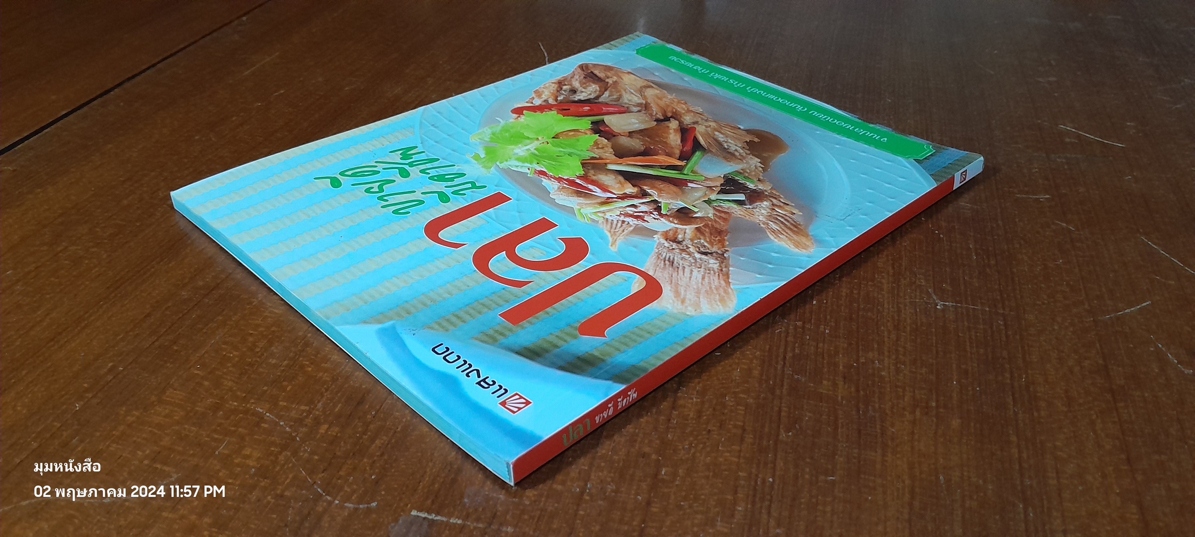 ปลา ขายดี มีอาชีพ / แสงแดด