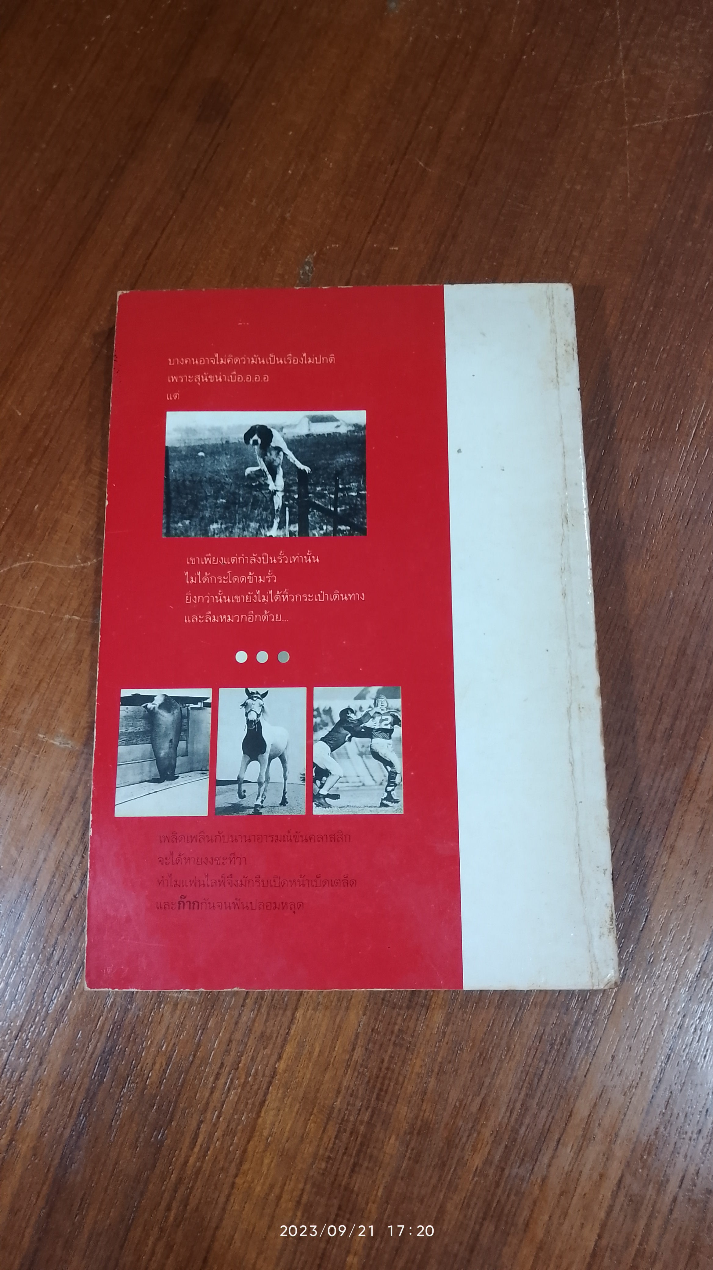 ก๊าก จนฟันปลอมหลุด / ฟิลิป บี คุนฮาดต์, จูเนียร์