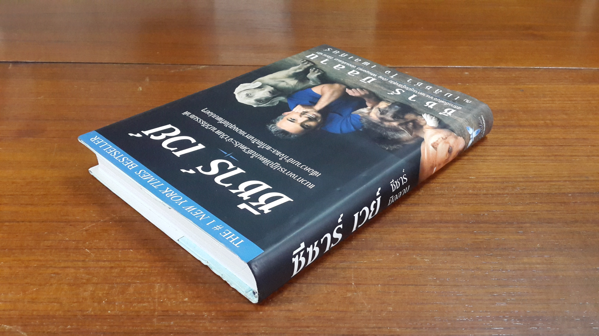 ซีซาร์ เวย์ / ซีซาร์ มิลลาน