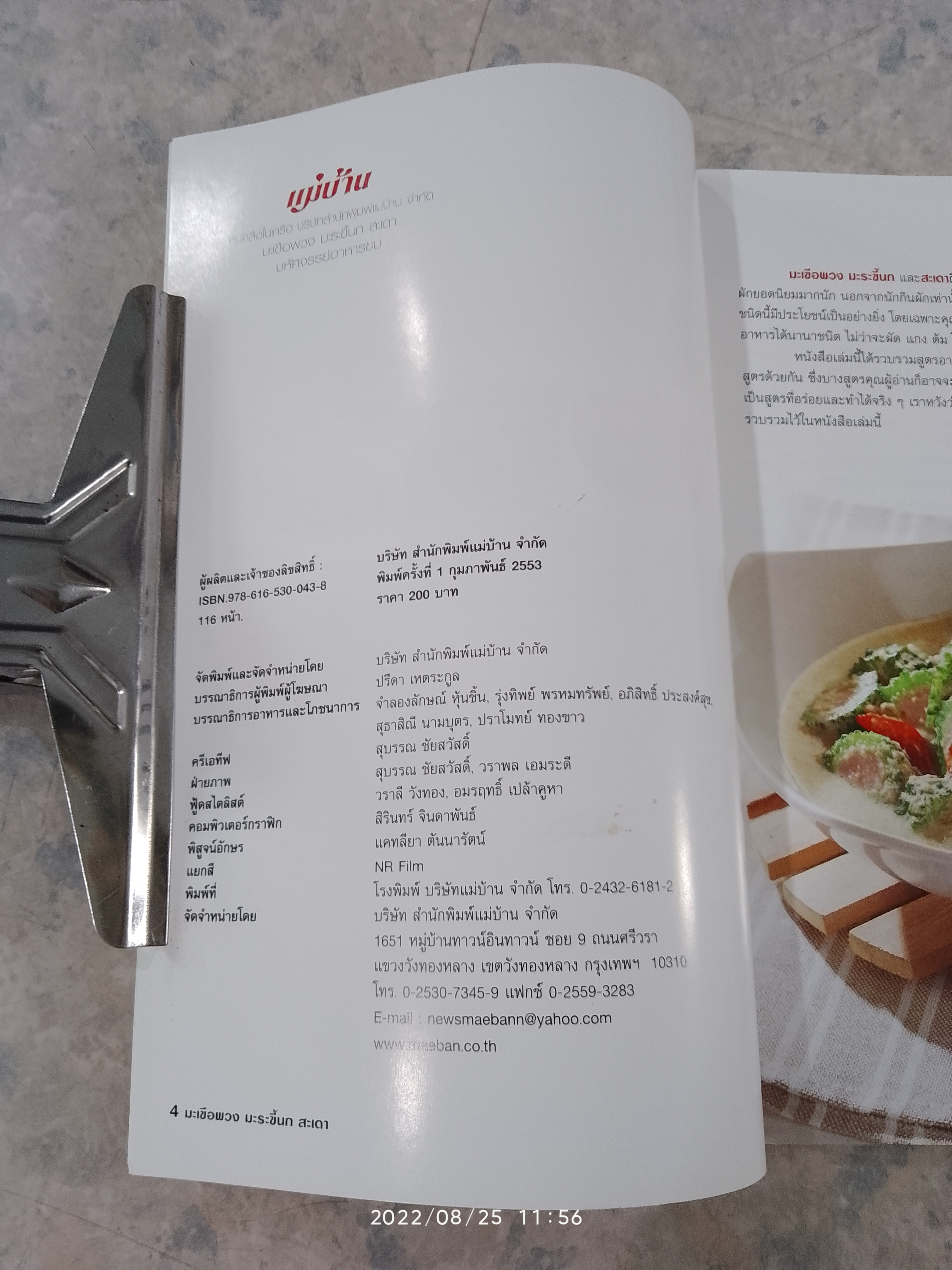 มะเขือพวง มะระขี้นก สะเดา มหัศจรรย์อาหารขม