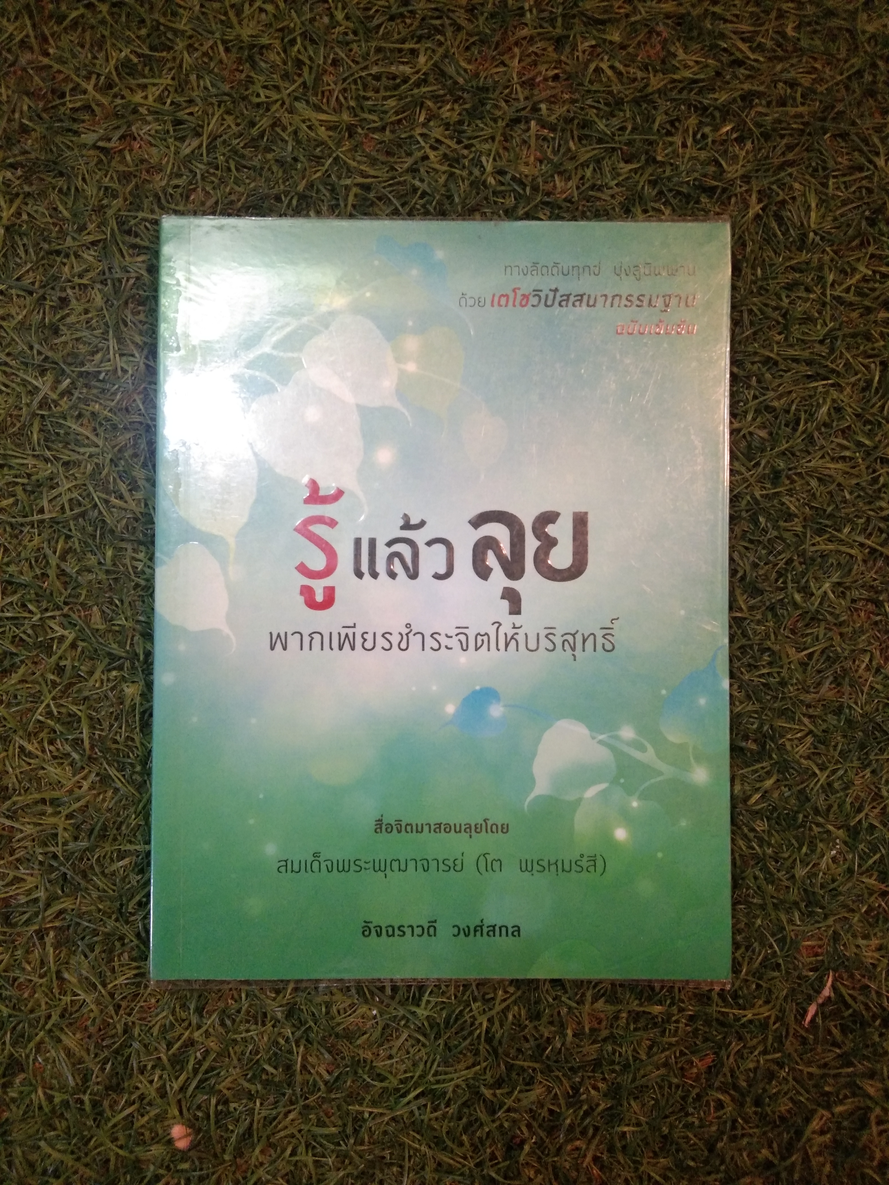 รู้ แล้ว ลุย พากเพียรชำระจิตให้บริสุทธิ์ / อัจฉราวดี วงศ์สกล