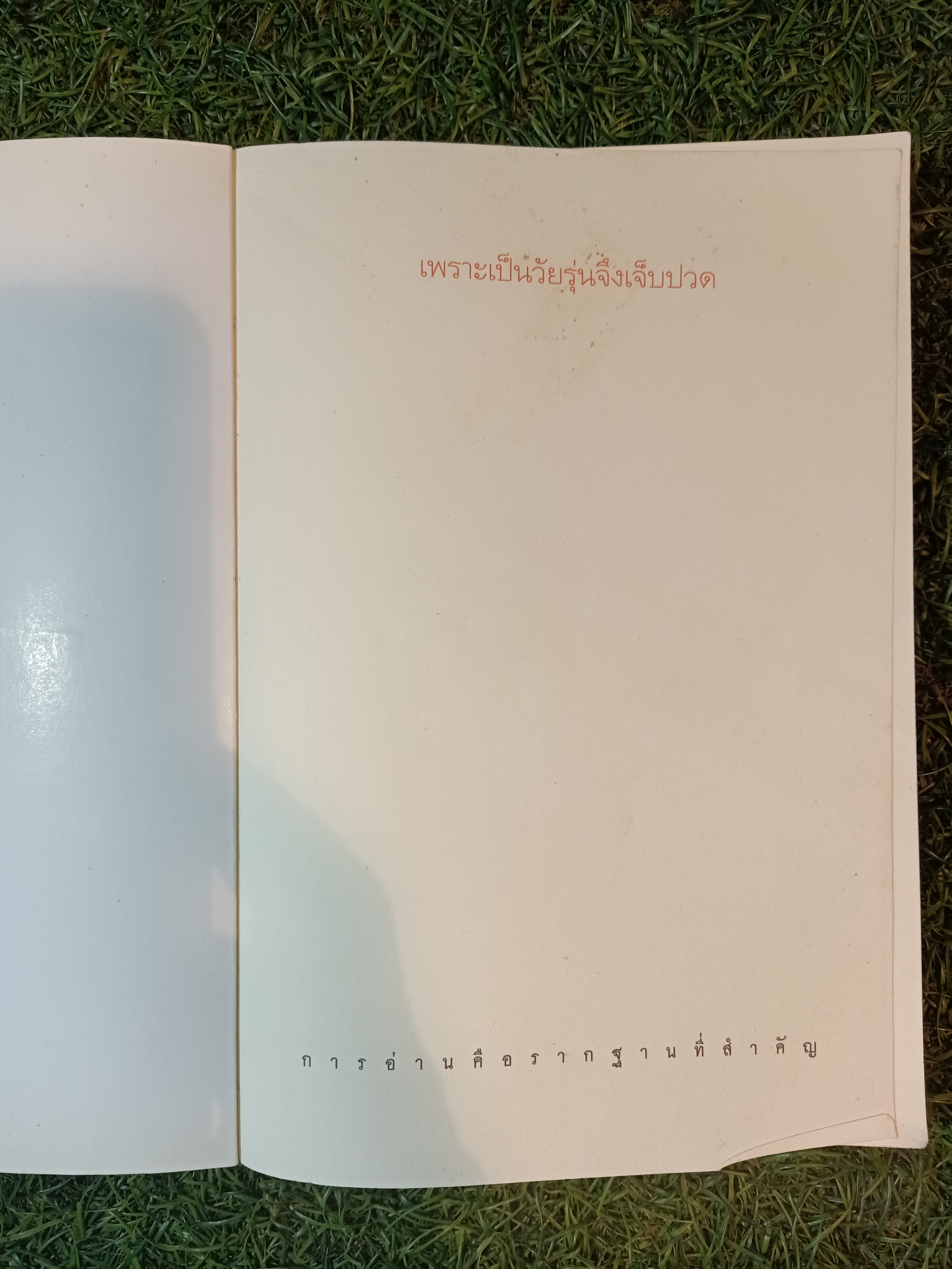 เพราะเป็นวัยรุ่นจึงเจ็บปวด / คิมรันโด เขียน วิทิยา จันทร์พันธ์ แปล