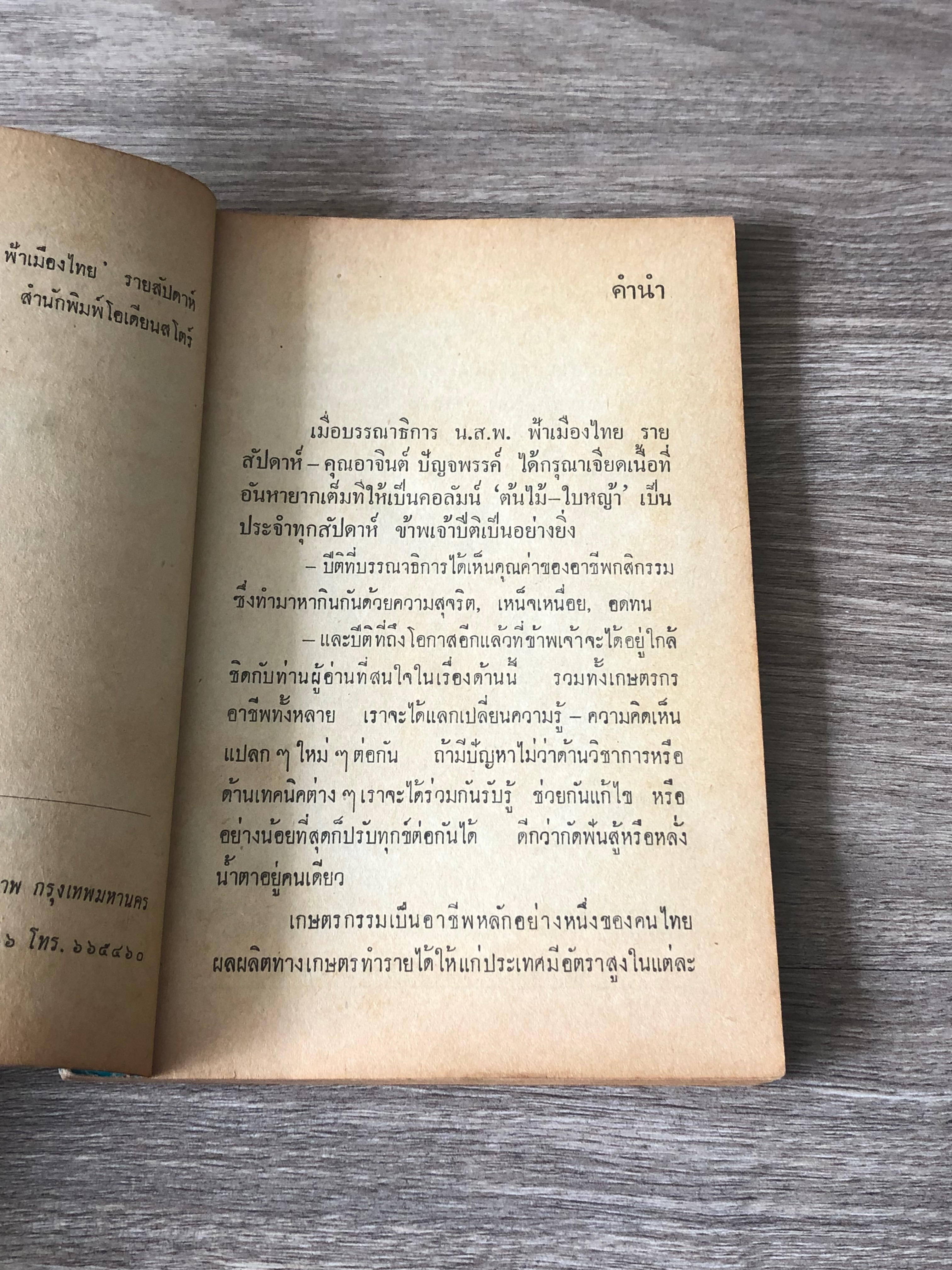 ต้นไม้ - ใบหญ้า / สถาปัตย์ ปรีดา