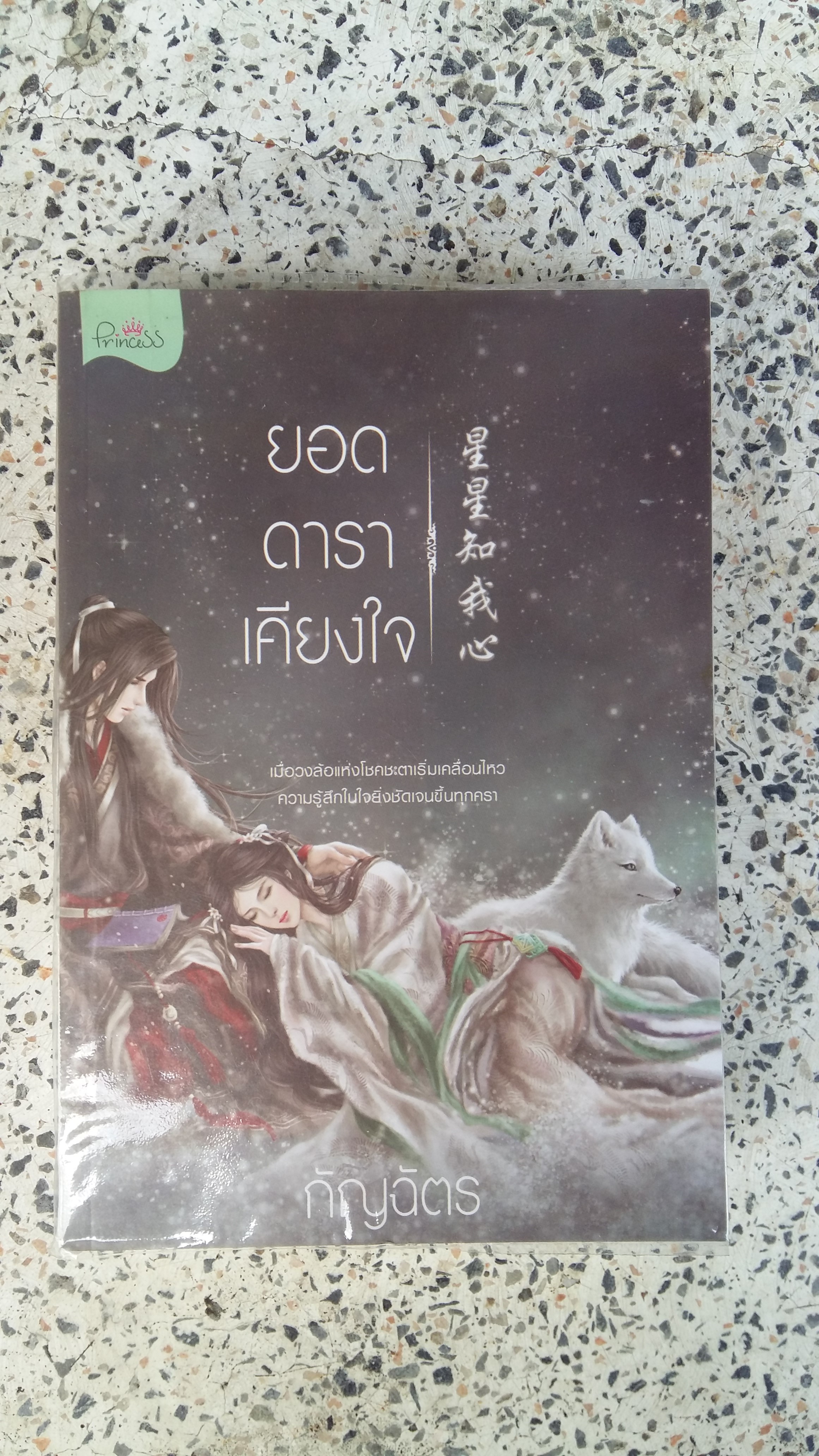 ยอดดาราเคียงใจ / กัญฉัตร