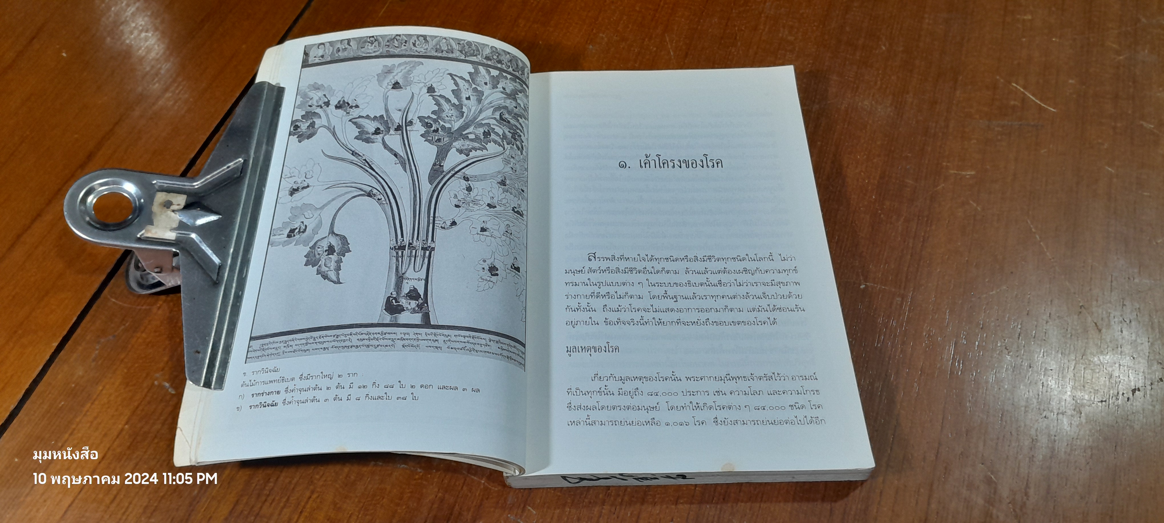 สู่สุขภาพบนวิถีแห่งดุลยภาพ : เปิดประตูสู่การแพทย์ธิเบต / นายแพทย์เยชิ ดอนเด็น
