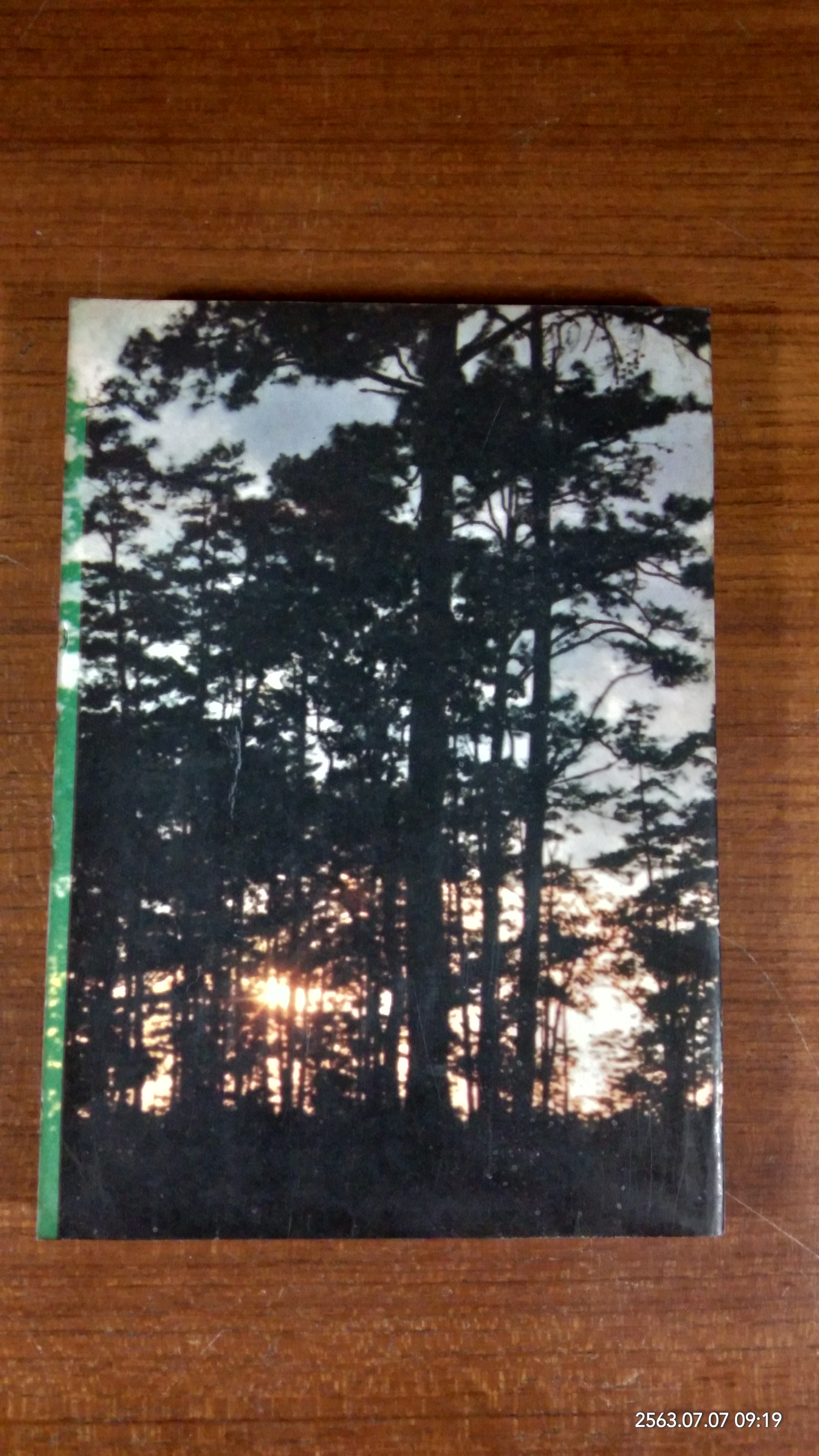 สัตว์สวยป่างาม