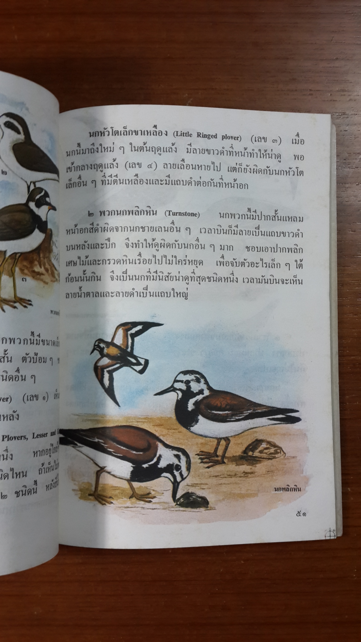 นก / กรมวิชาการ กระทรวงศึกษาธิการ