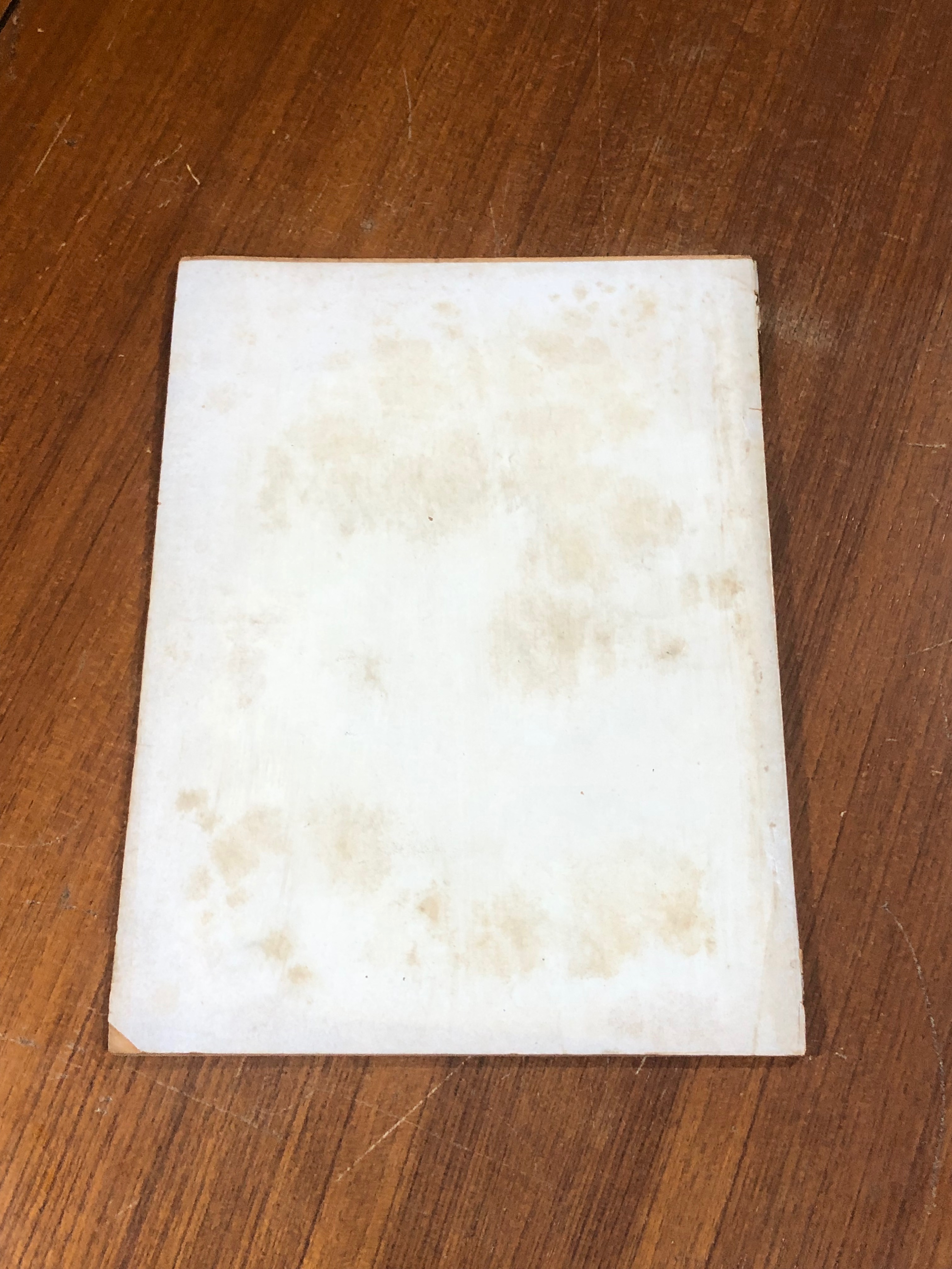 แทงแก้มแทงลิ้นได้ด้วยเข็มเล่มใหญ่ / โอปปาติกะ