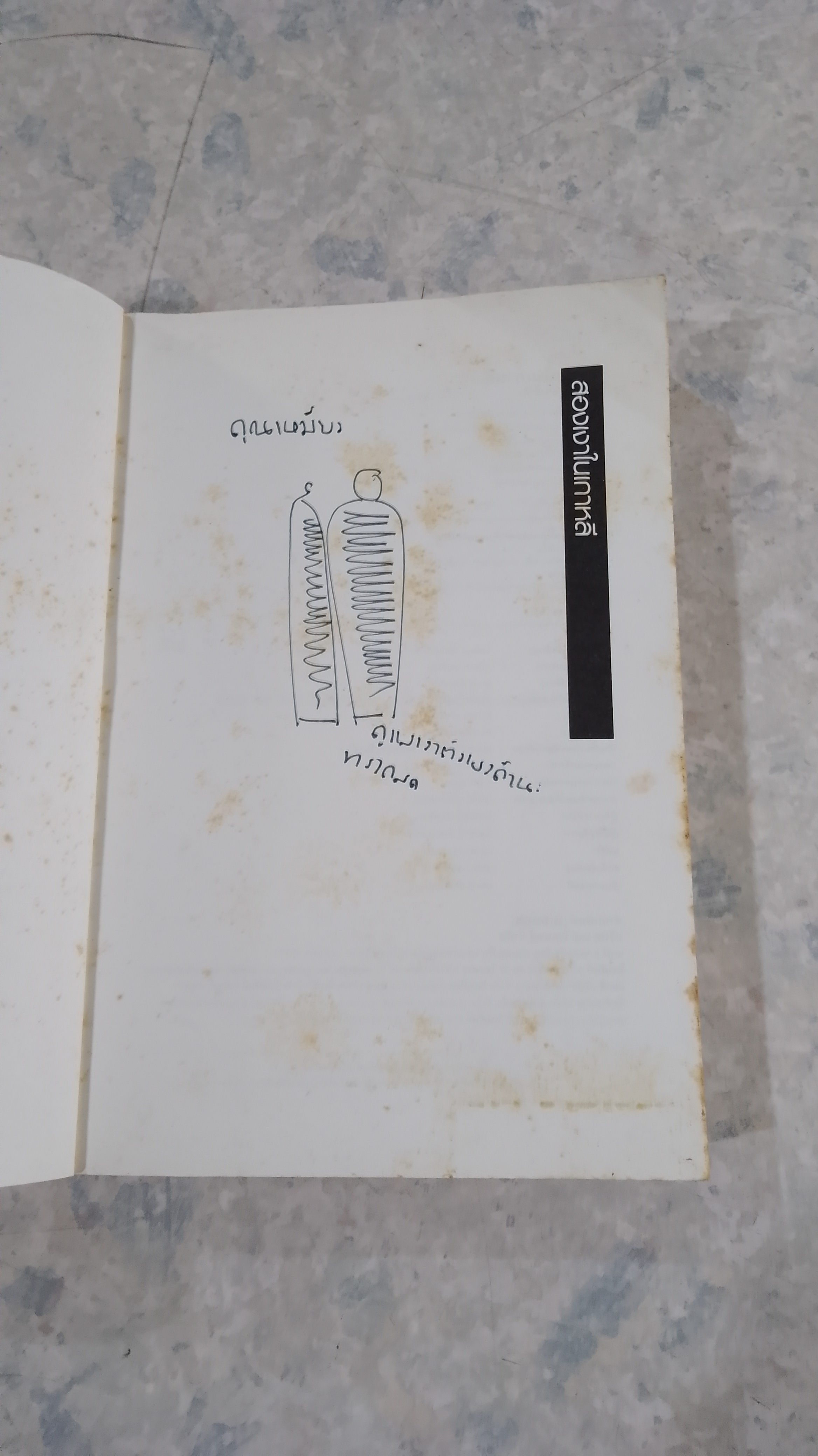 สองเงาในเกาหลี / ทรงกลด บางยี่ขัน