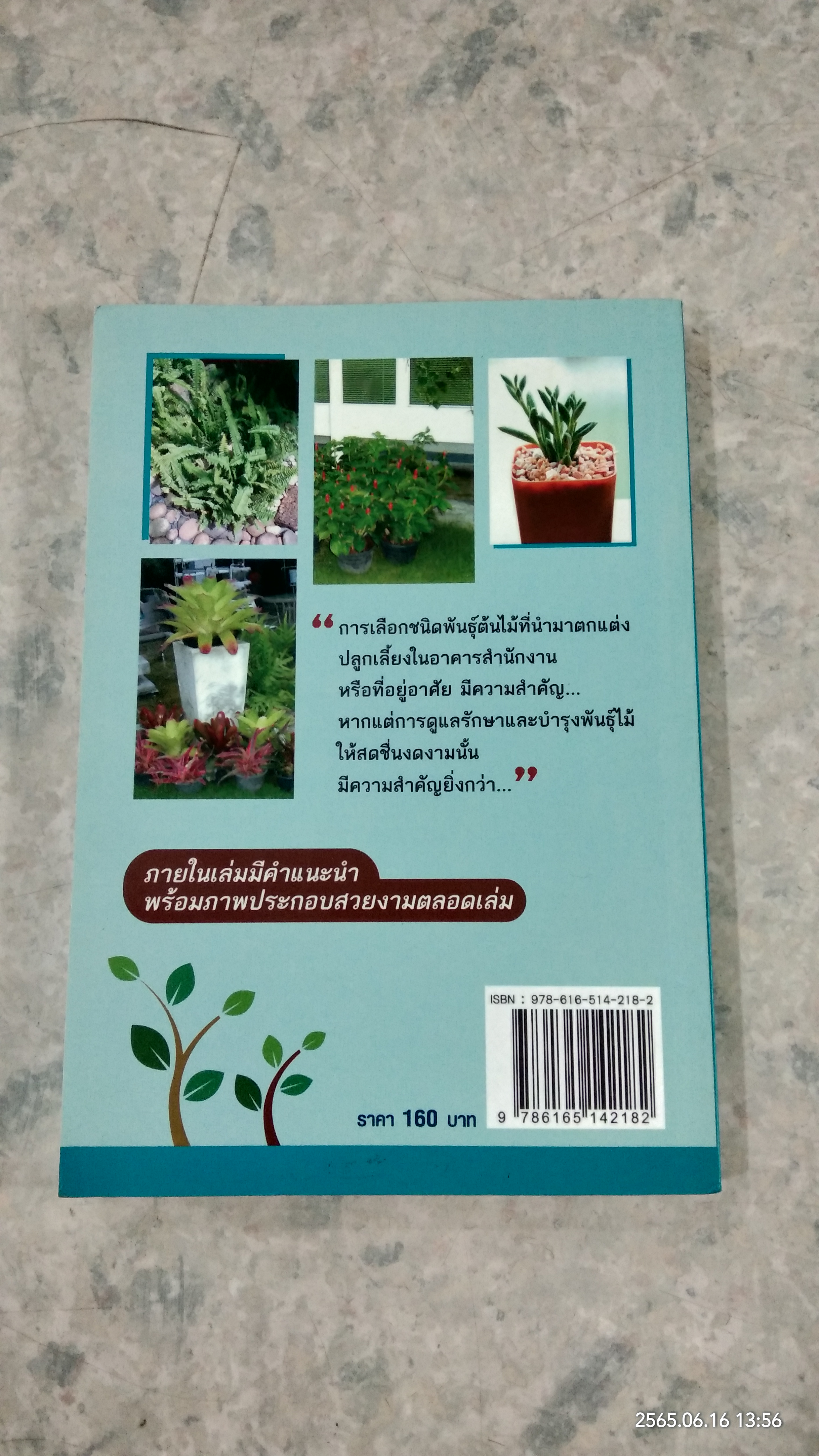 คู่มือการปลูกไม้ประดับในอาคารสำนักงาน / รวิภา เดชาชาญ