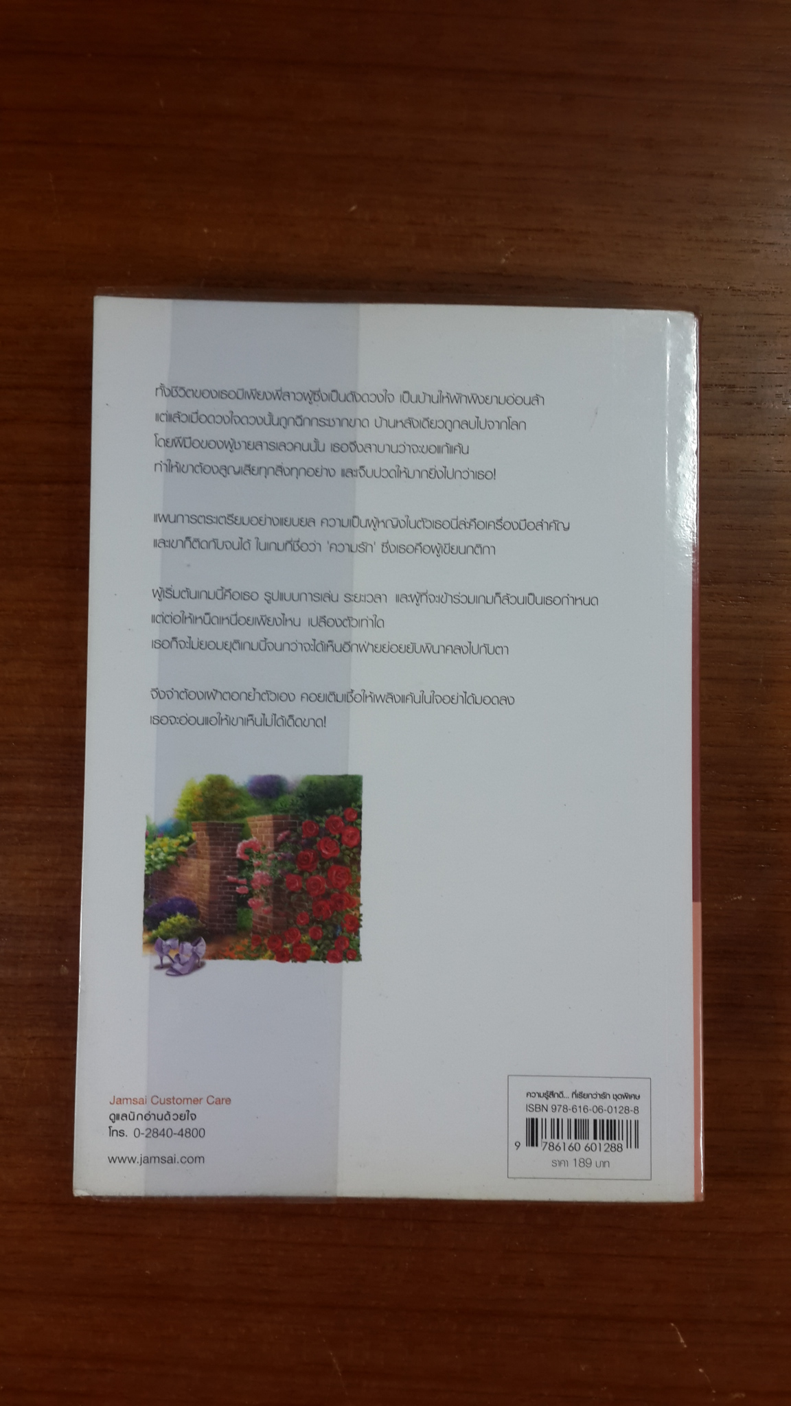 เพลิงผลาญใจ / นายน้อย