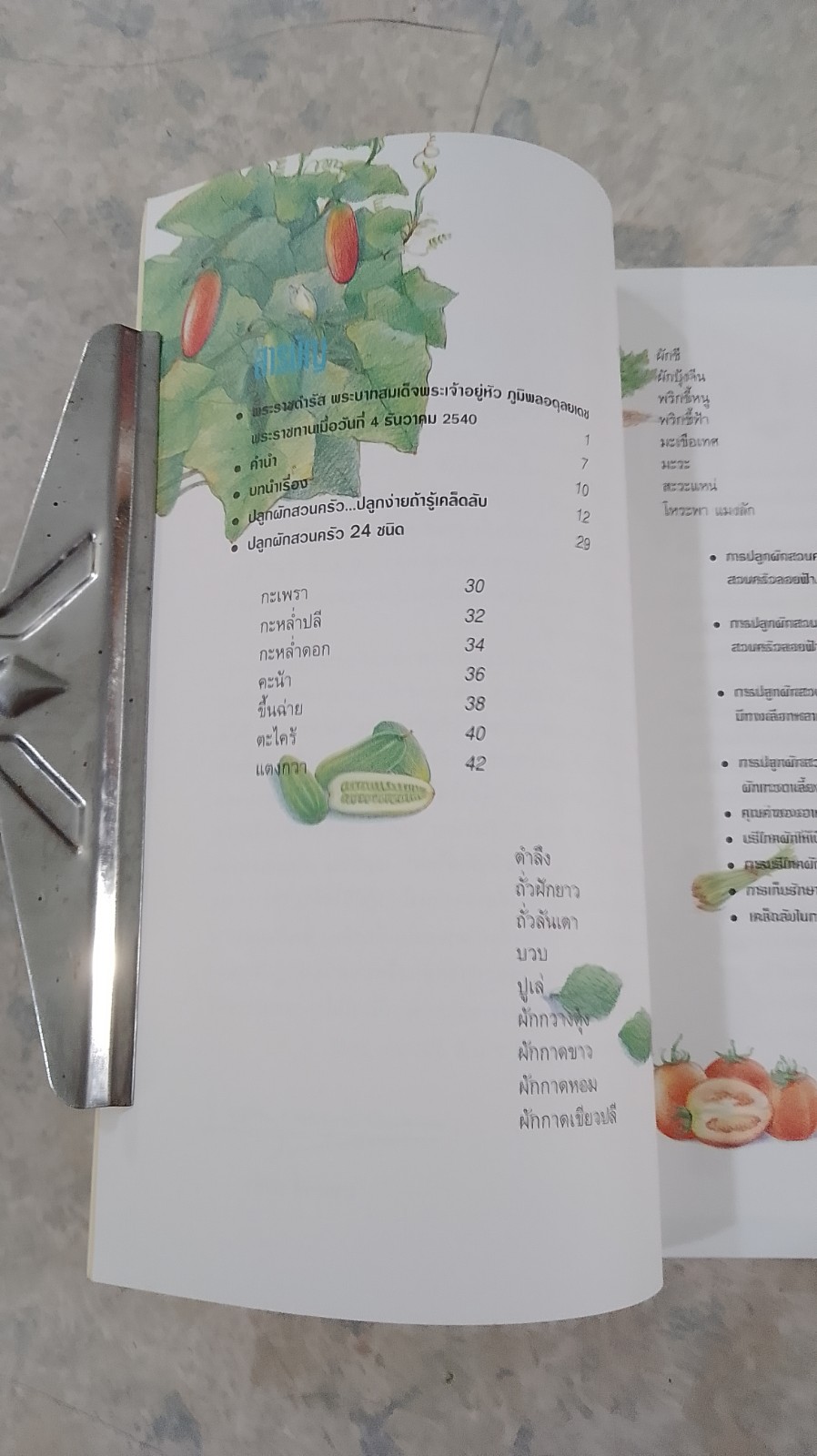 สวนผักรักษ์ไทย / ธ.กสิกรไทย