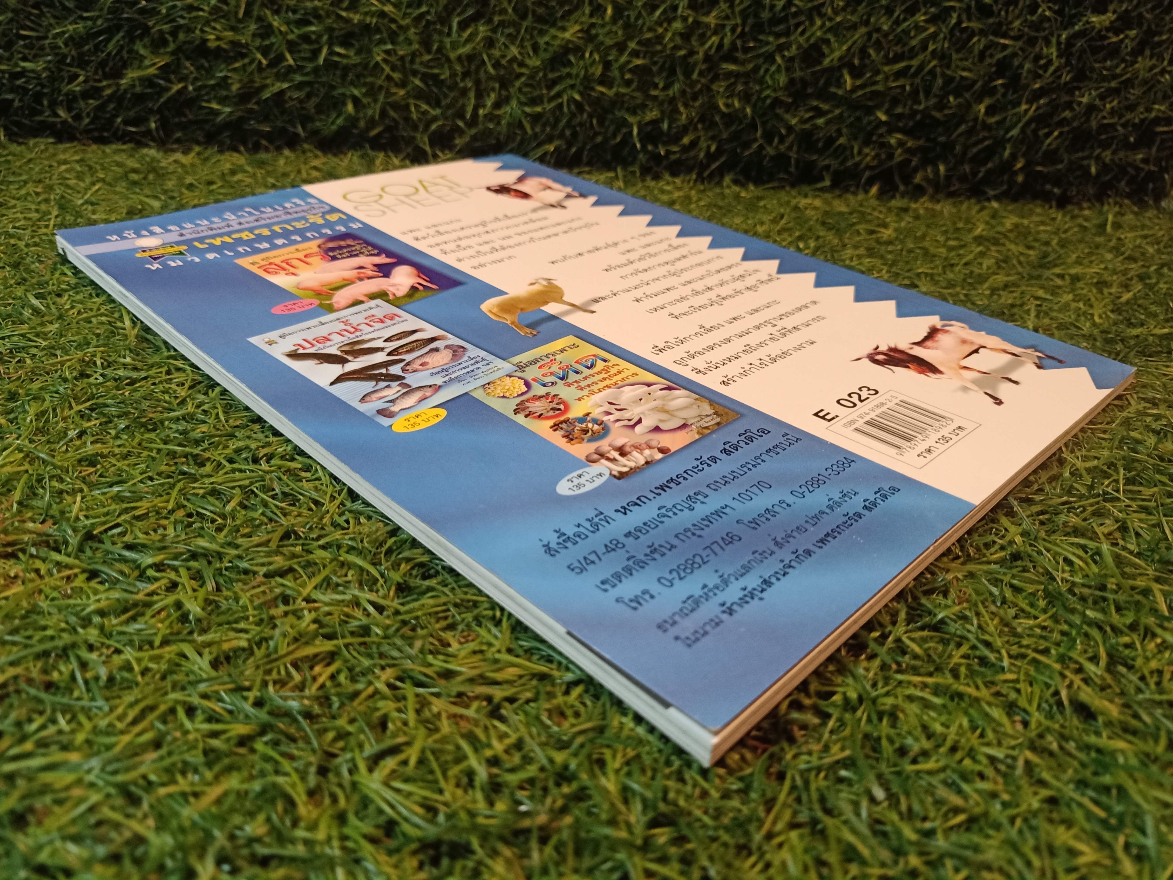 คู่มือการเลี้ยง แพะ และ แกะ สัตว์เศรษฐกิจที่กำลังได้รับความนิยมสูง / บวรศักดิ์ หัสดิน ณ อยุธยา