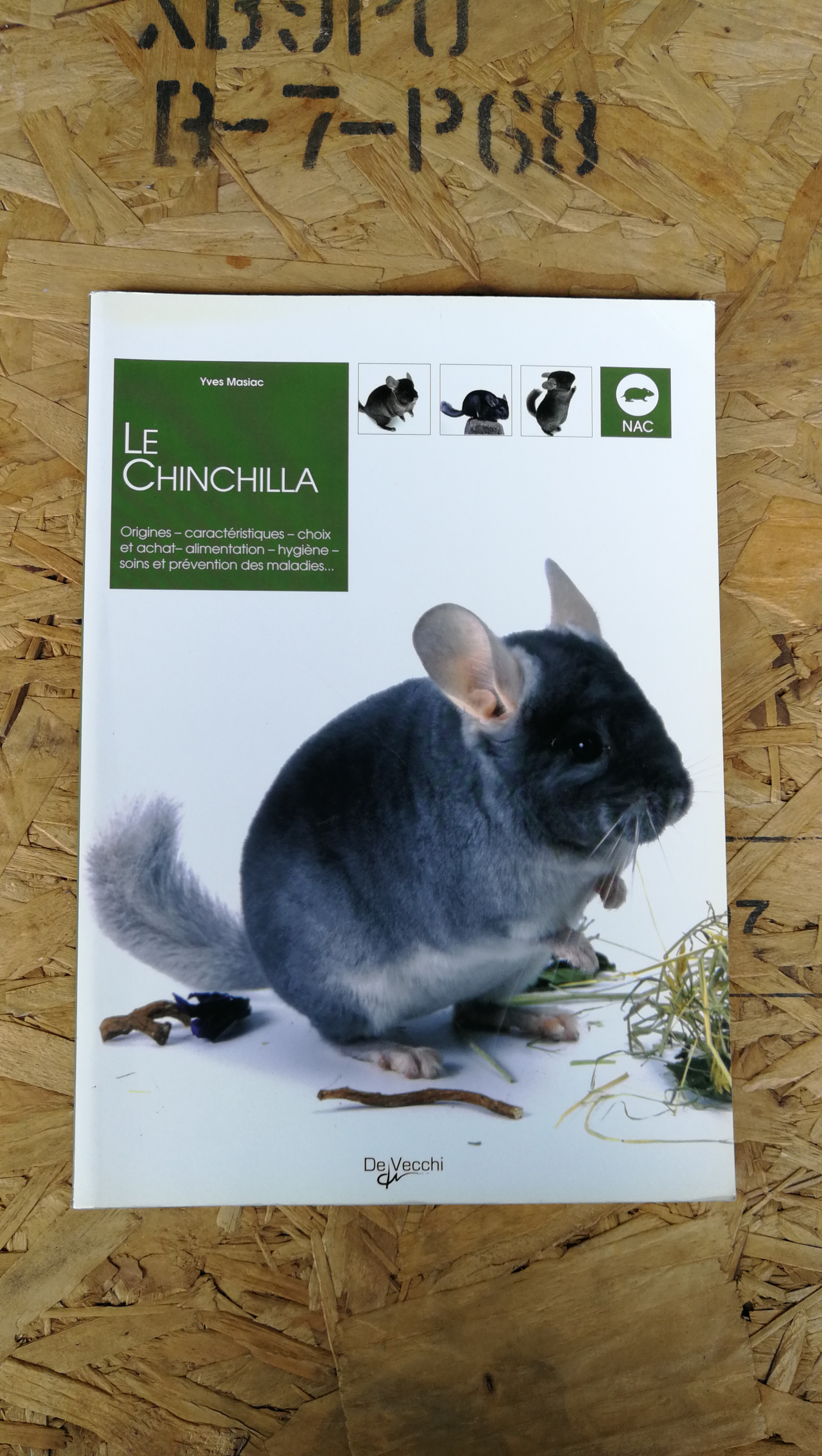 LE CHINCHILLA / Yves Masiac