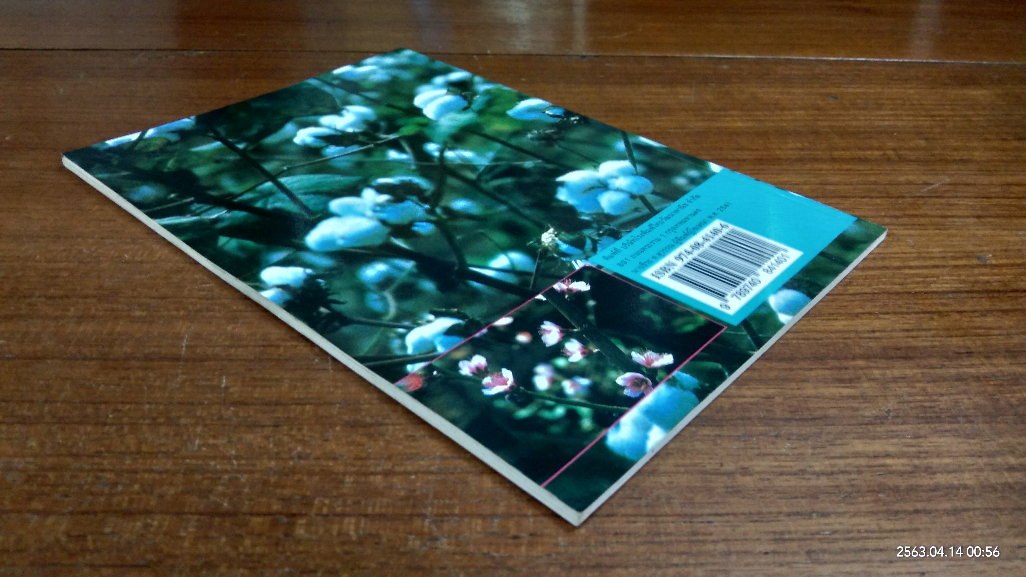 โลกของพืช / สโรชา จิรชวนันท์