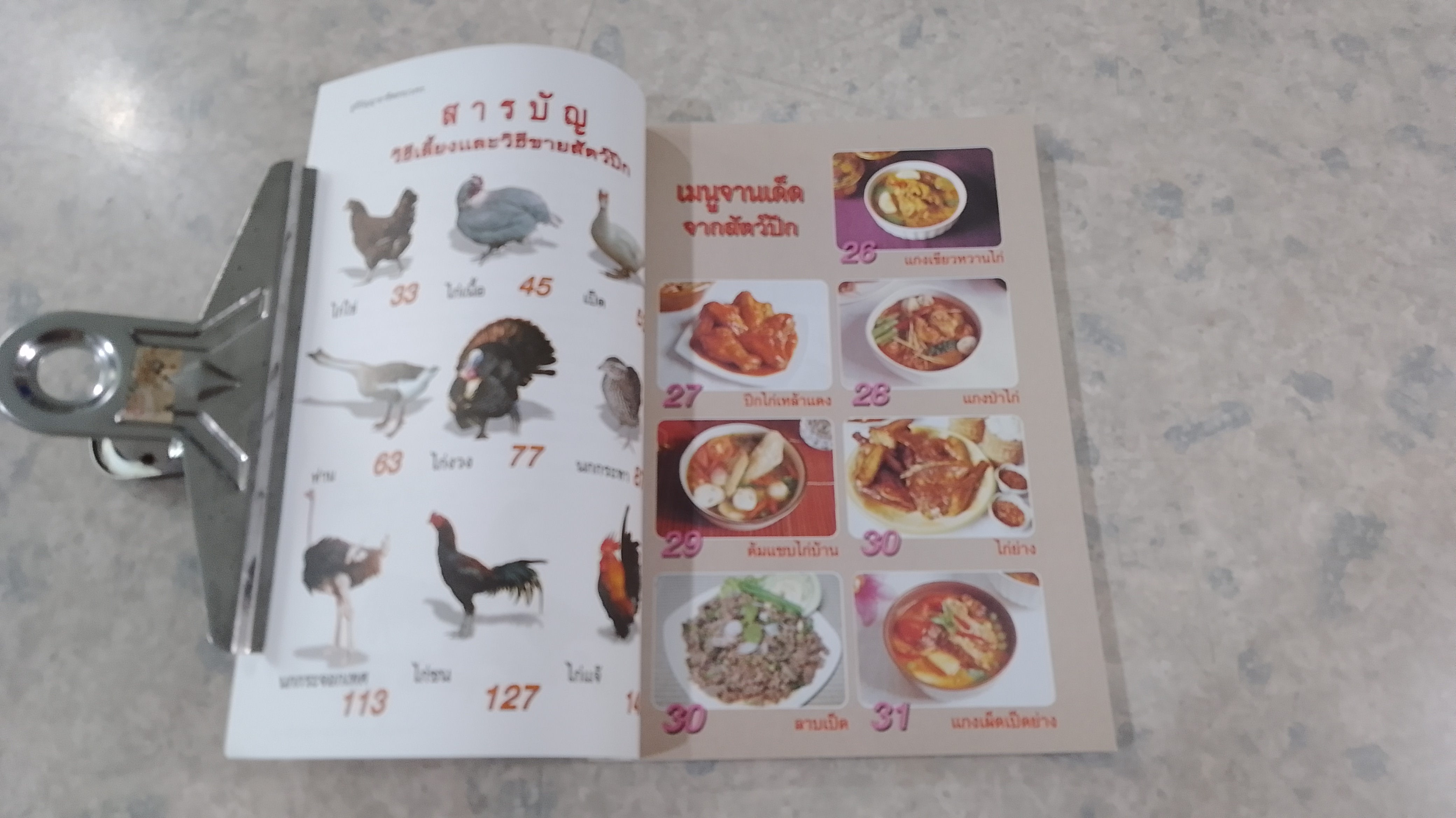 การเพาะเลี้ยงและการจำหน่ายสัตว์ปีก / อ.โกศล มารมย์