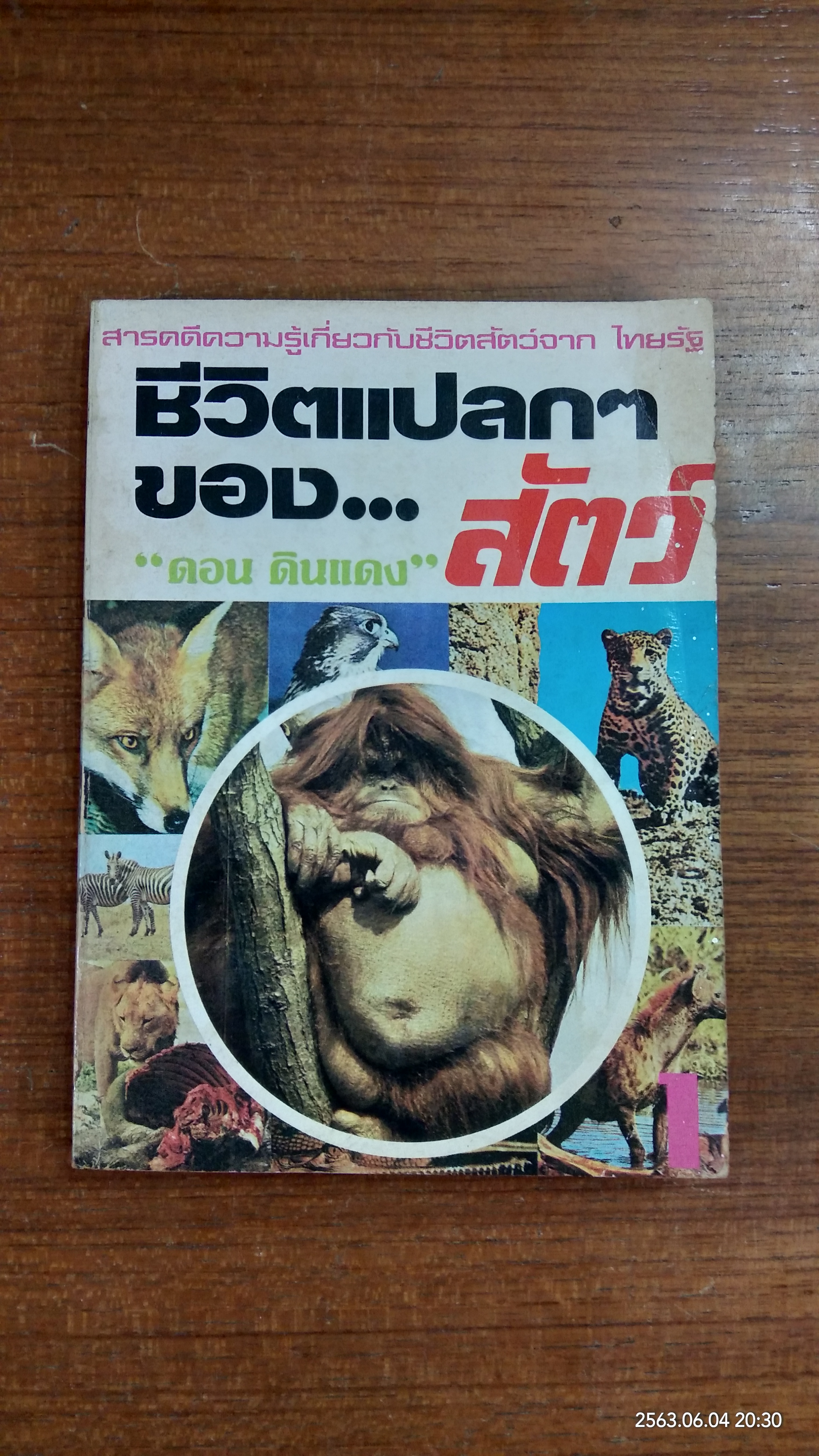 ชีวิตแปลกๆของ...สัตว์ (มีรอยโดนน้ำ) / ดอน ดินแดง