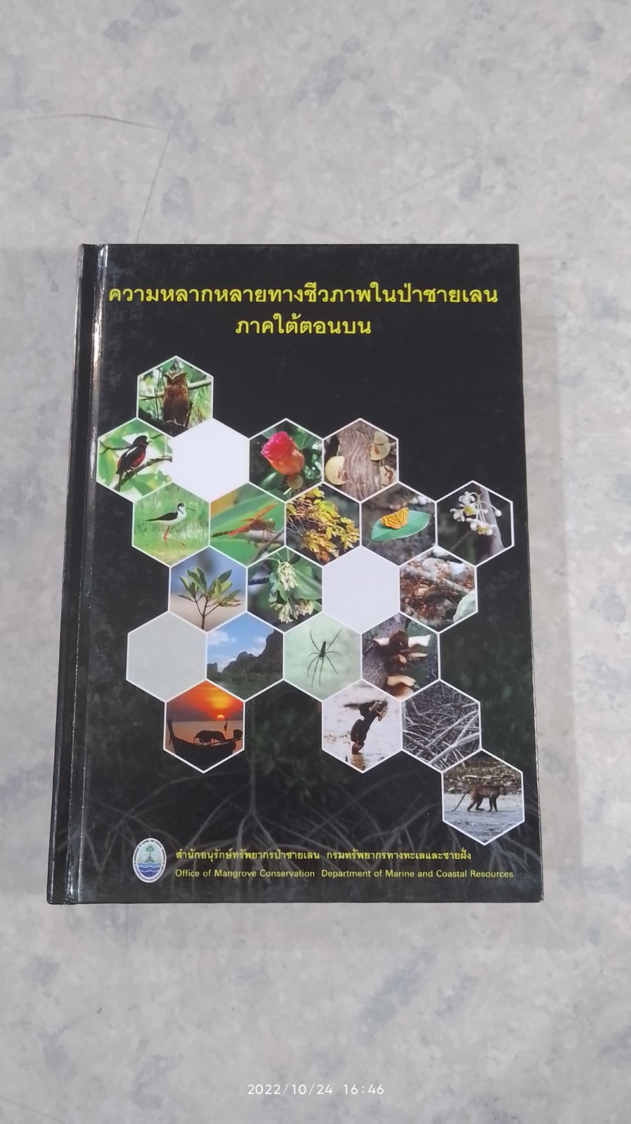 ความหลากหลายทางชีวภาพในป่าชายเลน ภาคใต้ตอนบน