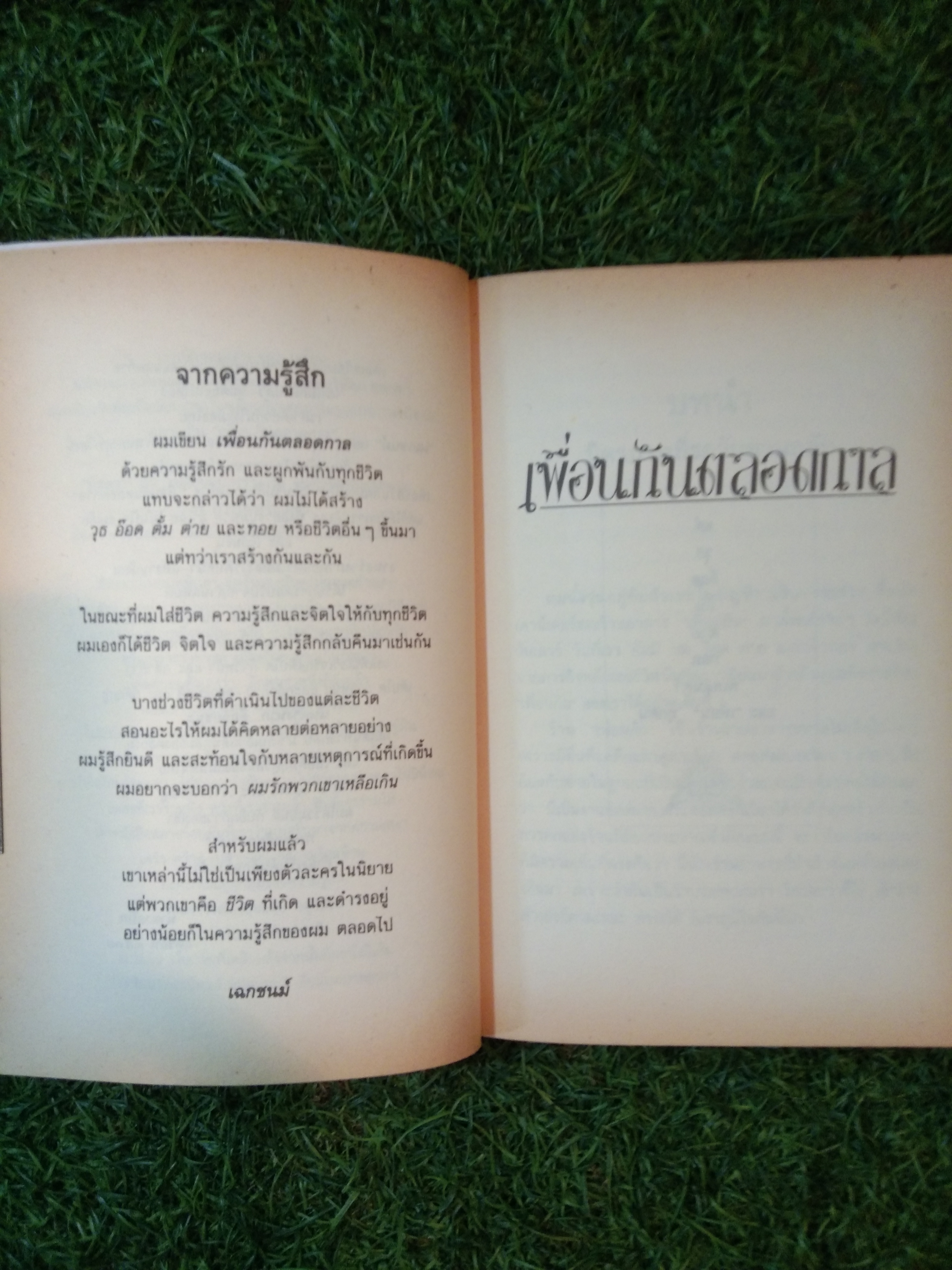 เพื่อนกันตลอดกาล / เฉกชนม์