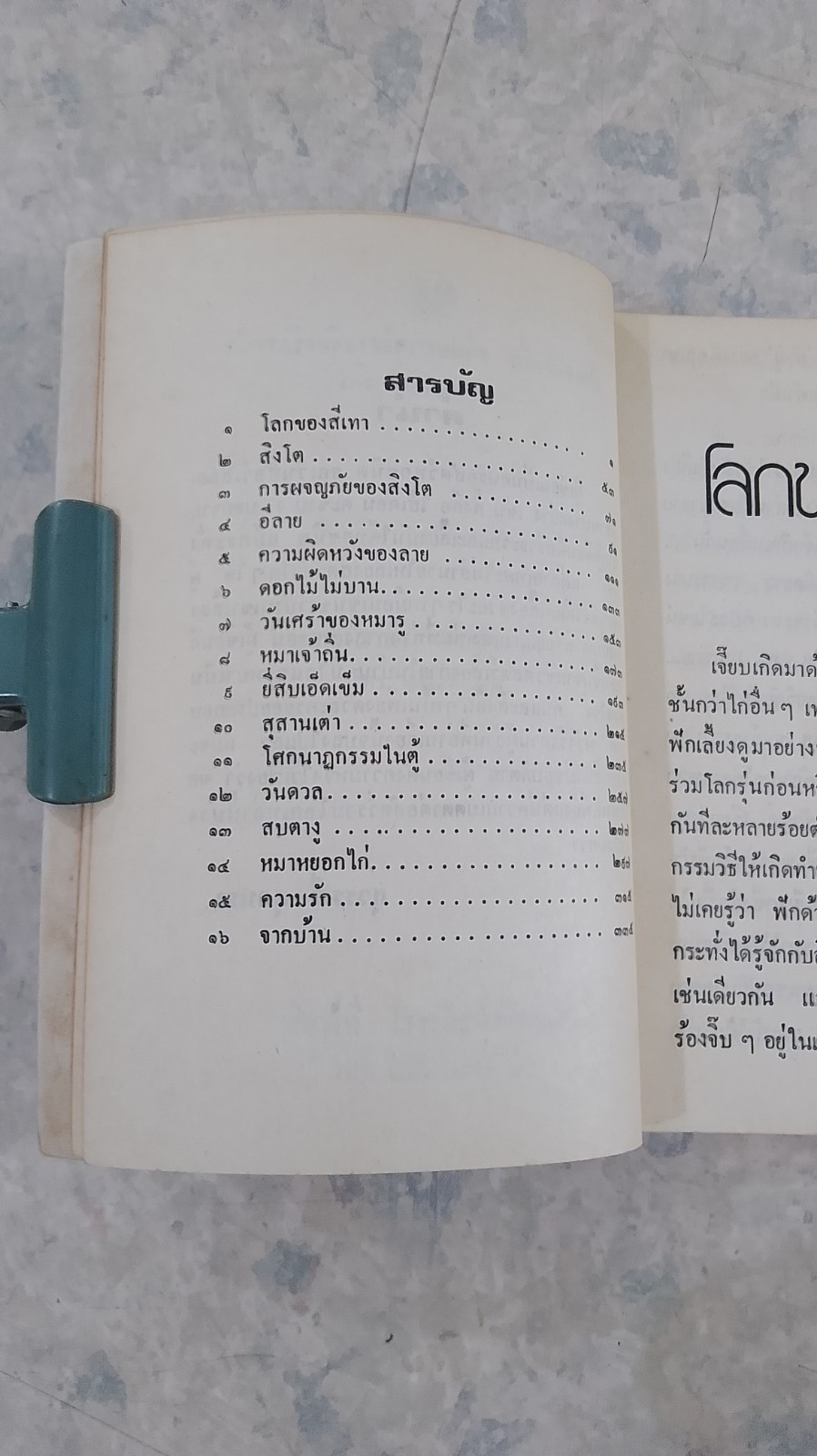 สร้อยแสงแดง / สุวรรณี สุคนธา