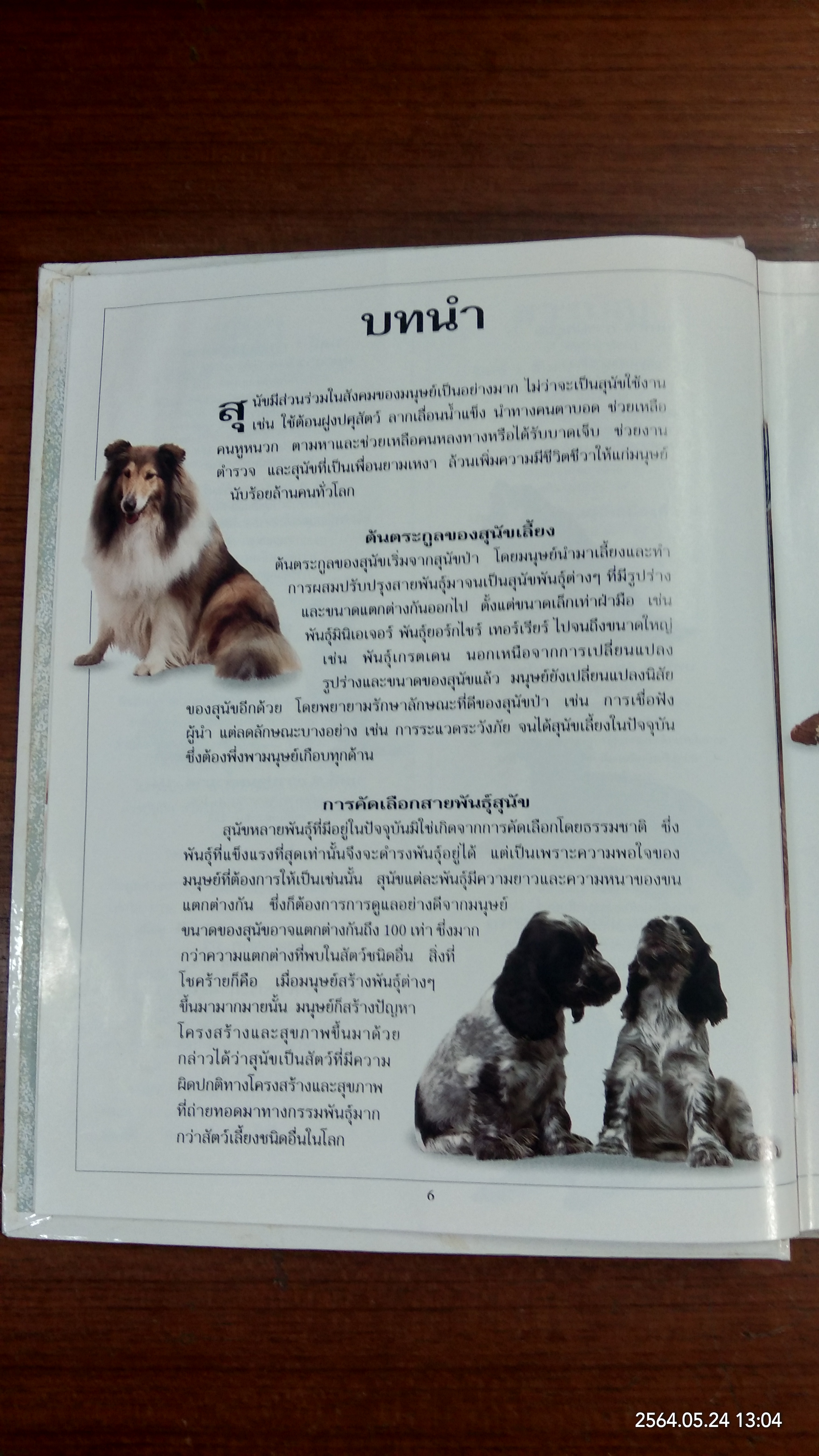 คู่มือดูแลสุนัข ฉบับสมบูรณ์ / DR.BRUCE FOGLE