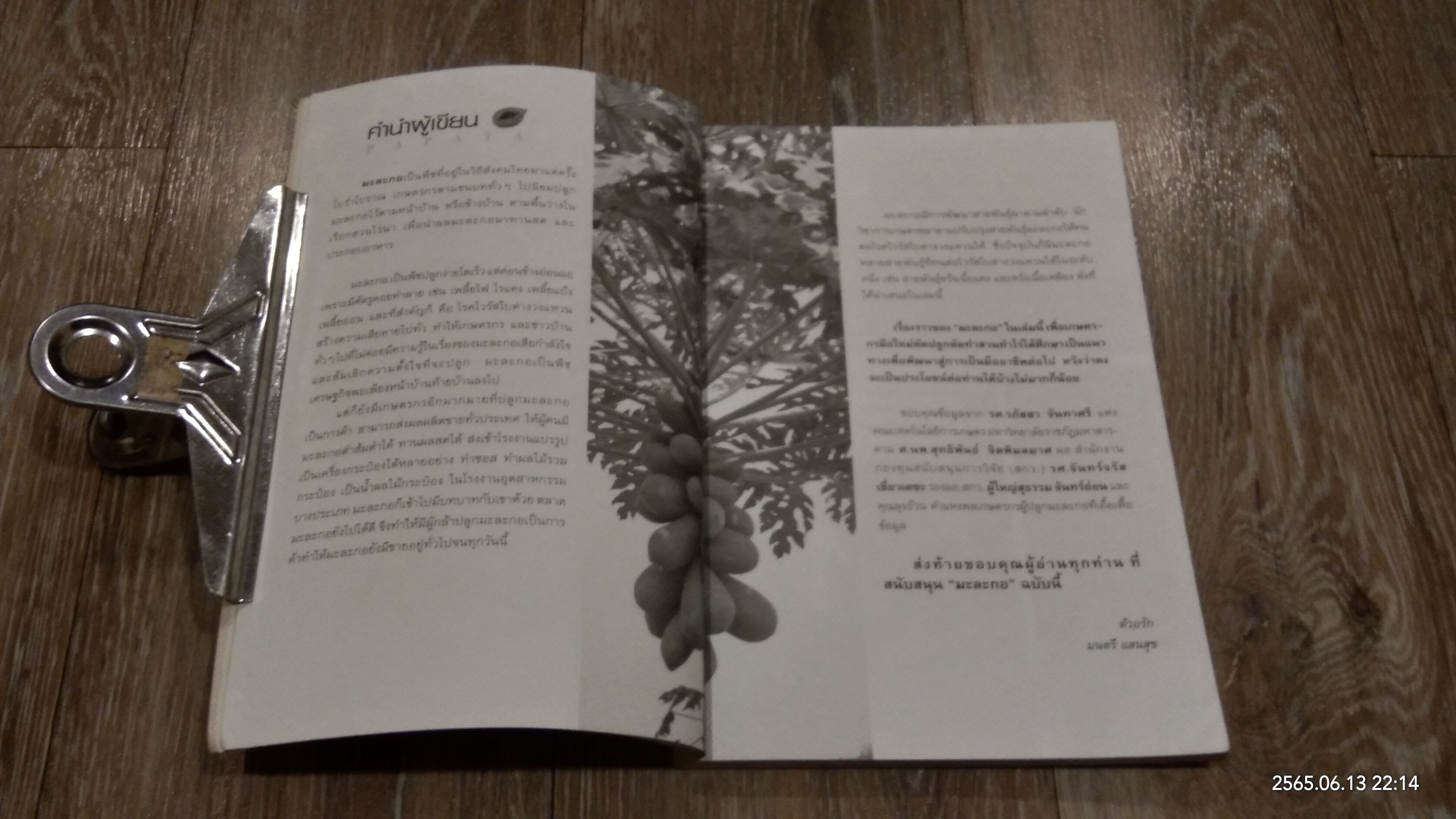 มะละกอ กำลังทำเงิน ปลูกได้รวย / มนตรี แสนสุข