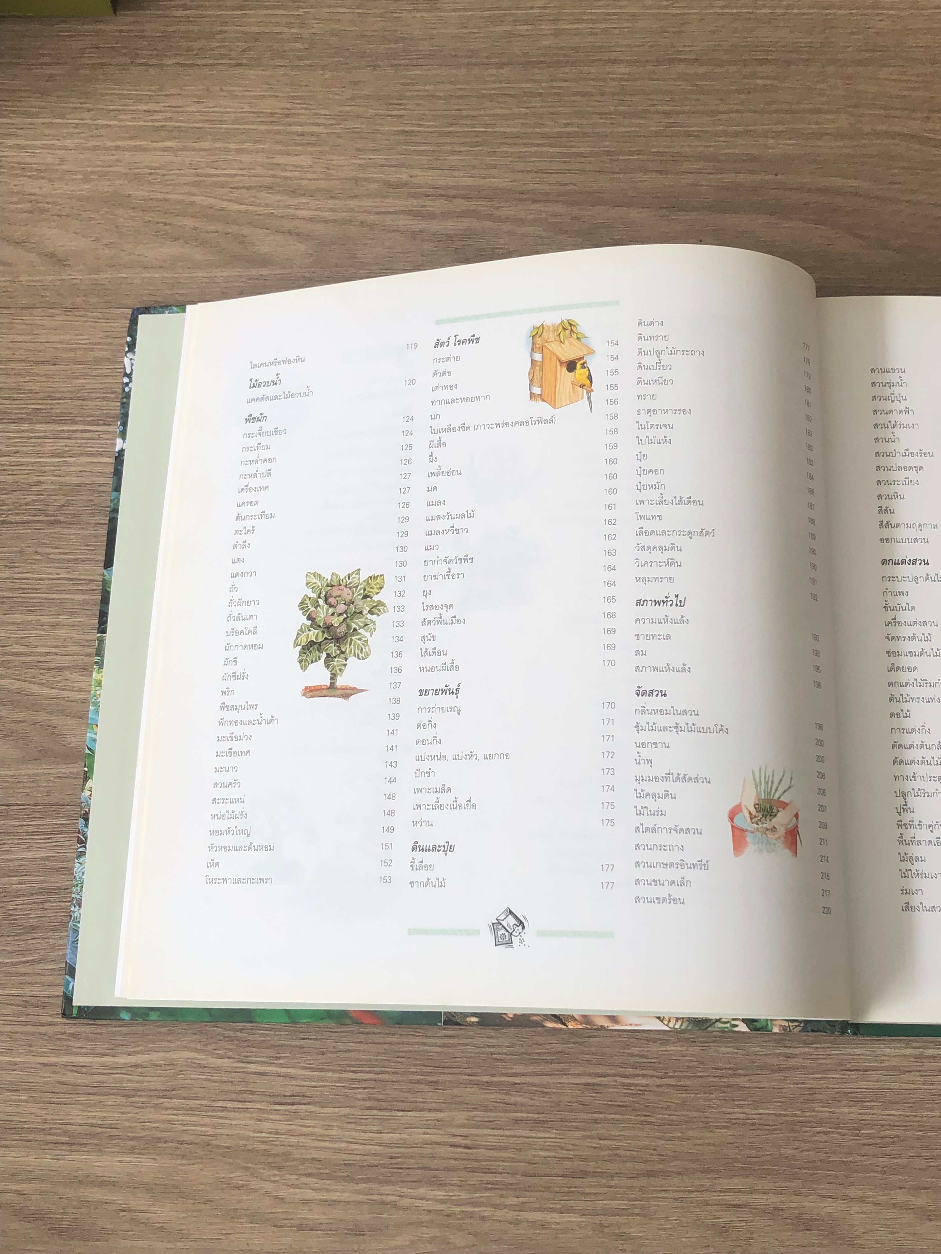 รีดเดอร์ส ไดเจสท์ : เคล็ดลับดูแลสวน