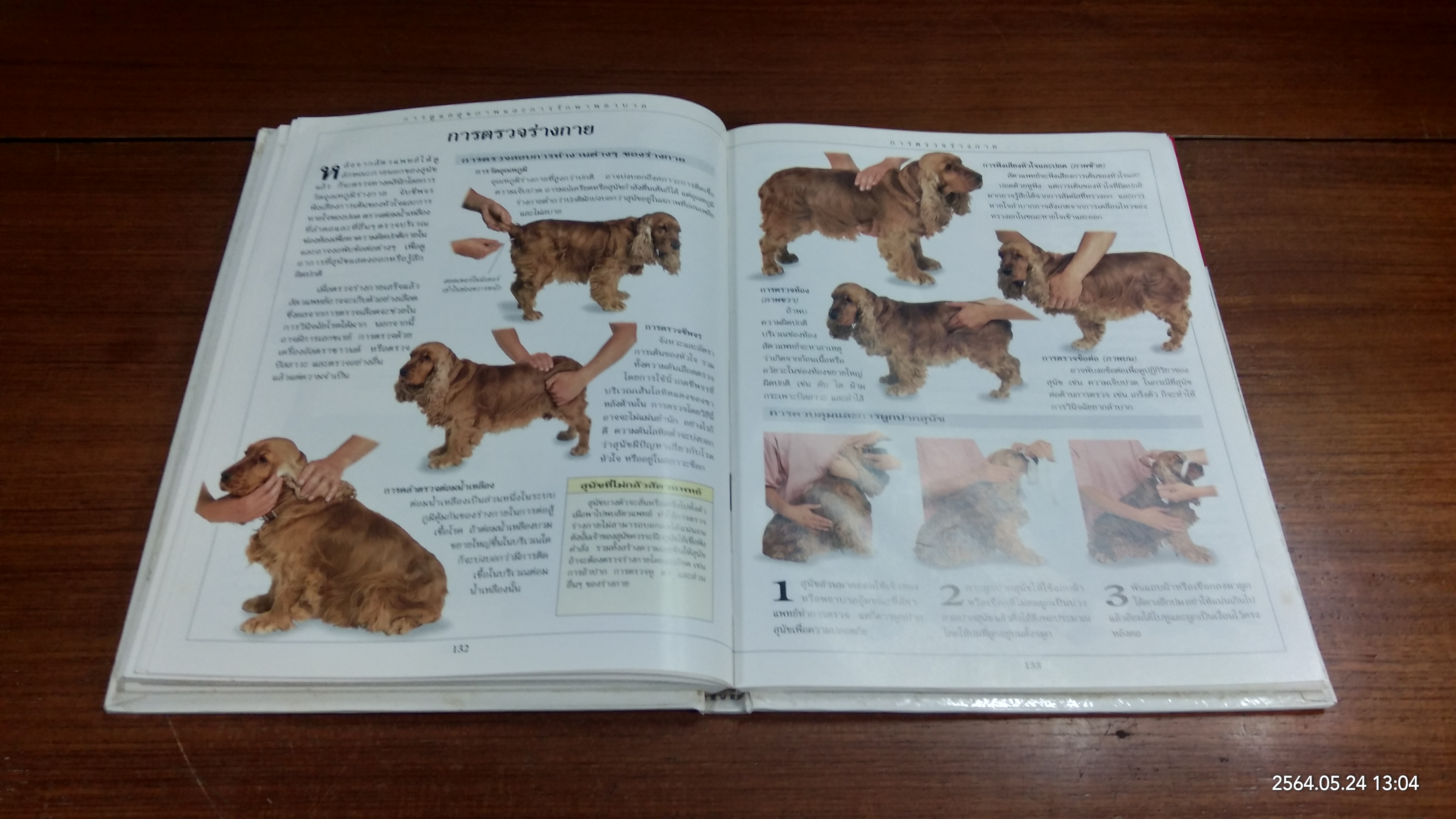 คู่มือดูแลสุนัข ฉบับสมบูรณ์ / DR.BRUCE FOGLE