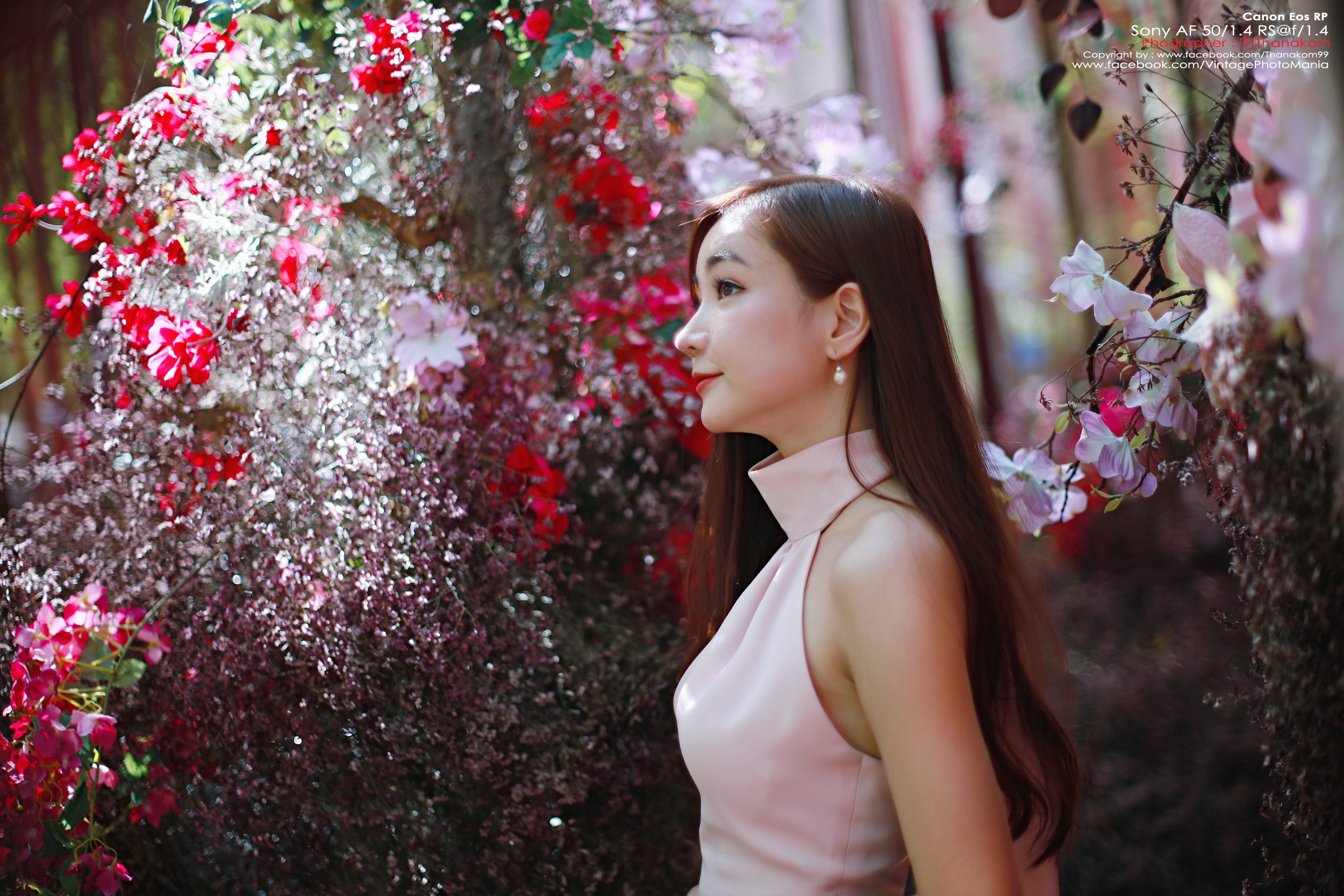 Minolta AF 50/1.4 *Sony A Mount เลนส์ไวแสงละลายฉากหลังสวยสำหรับกล้อง Sony DSLR