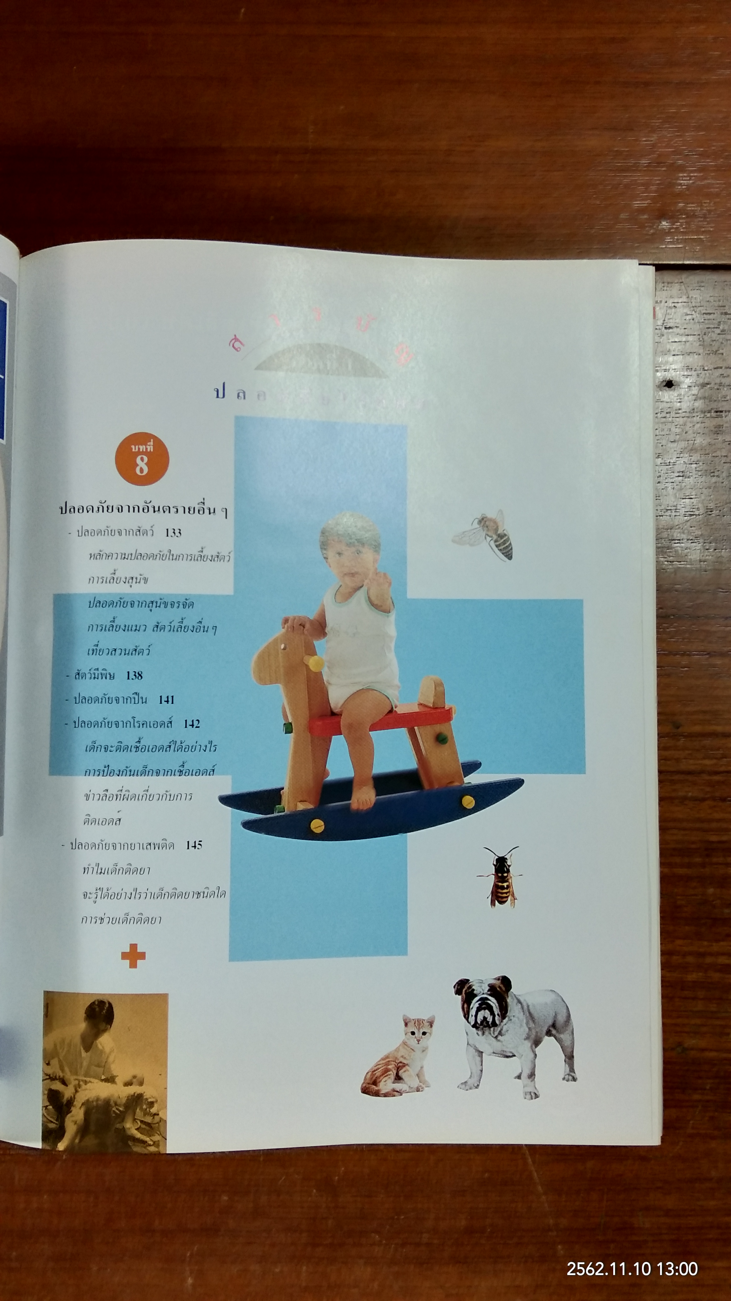 คู่มือ ป้องกันอุบัติภัย ให้ลูกรัก / รักลูก