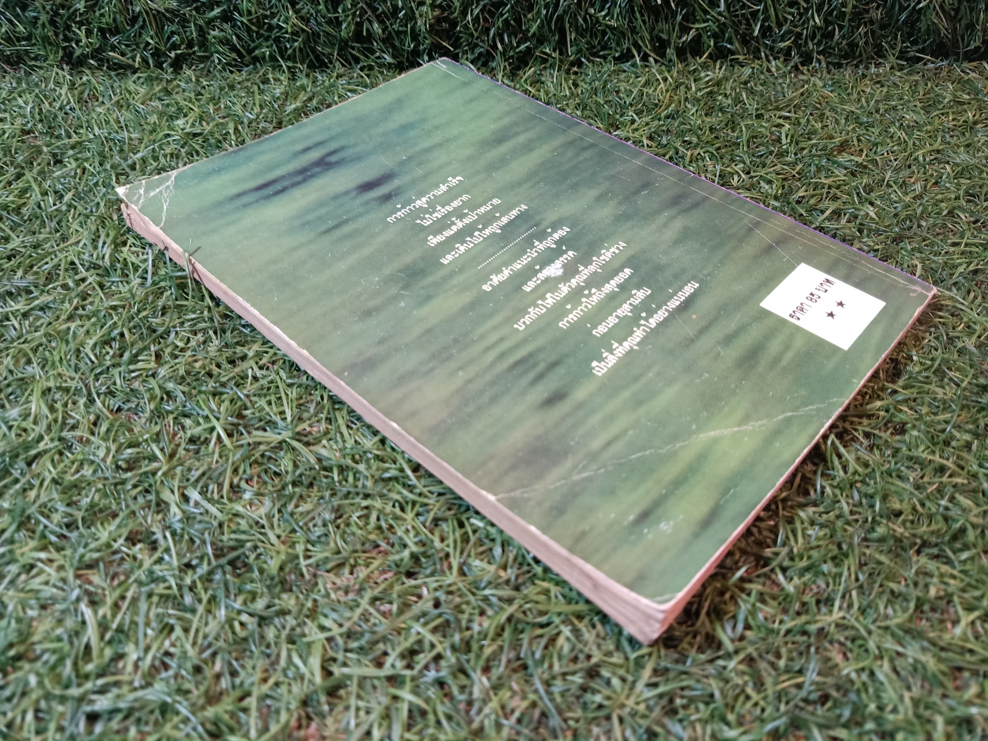 ก้าวสู่สุดยอดก่อน อายุสามสิบ (หนังสือมีรอยชำรุด) / ม. อึ้งอรุณ