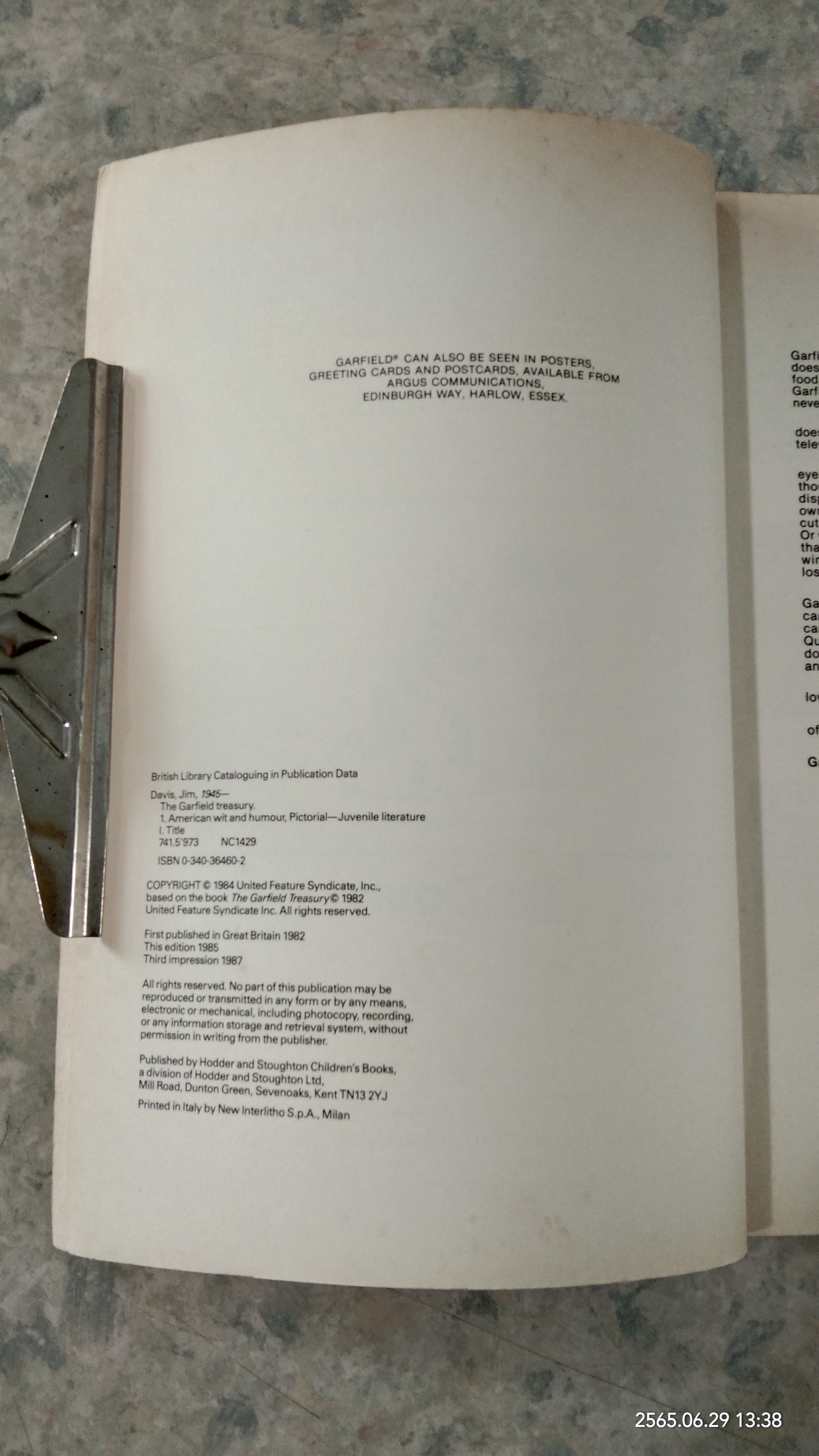 the Garfield Treasury / JiM DAViS