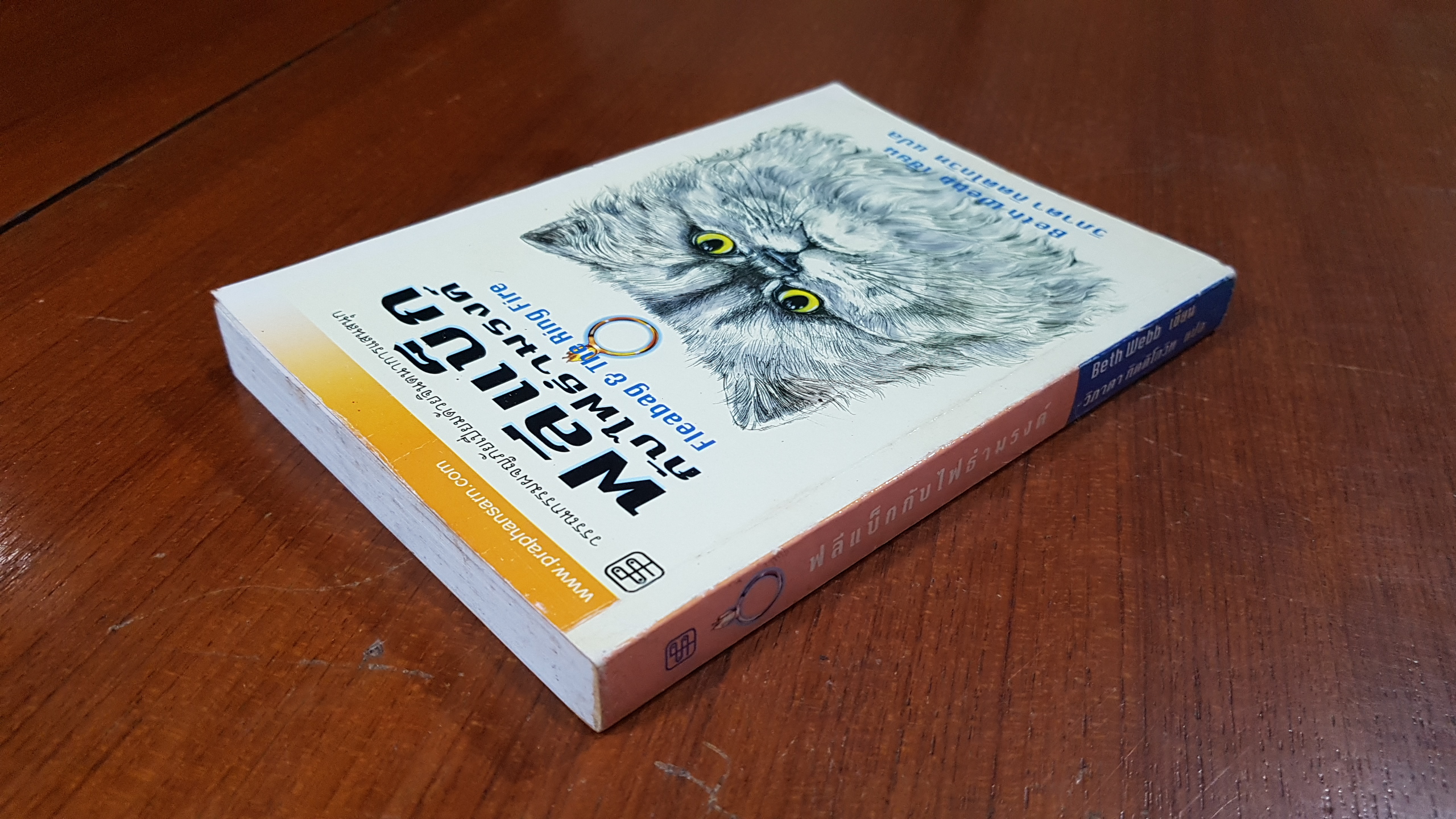 ฟลีแบ็กกับไฟธำมรงค์ / Beth Webb