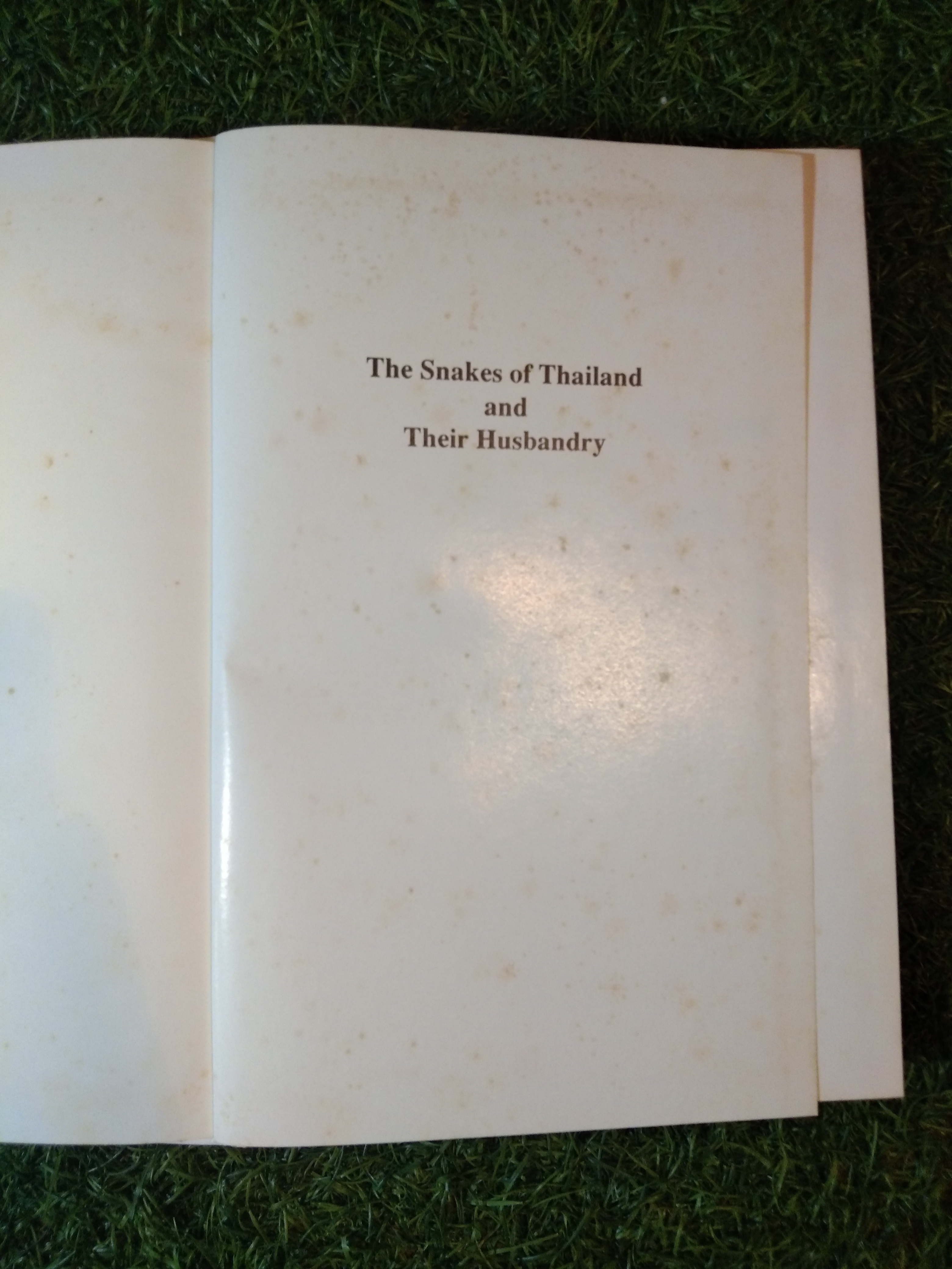 The Snakes of Thailand and Their Husbandry / Merel.J.Cox